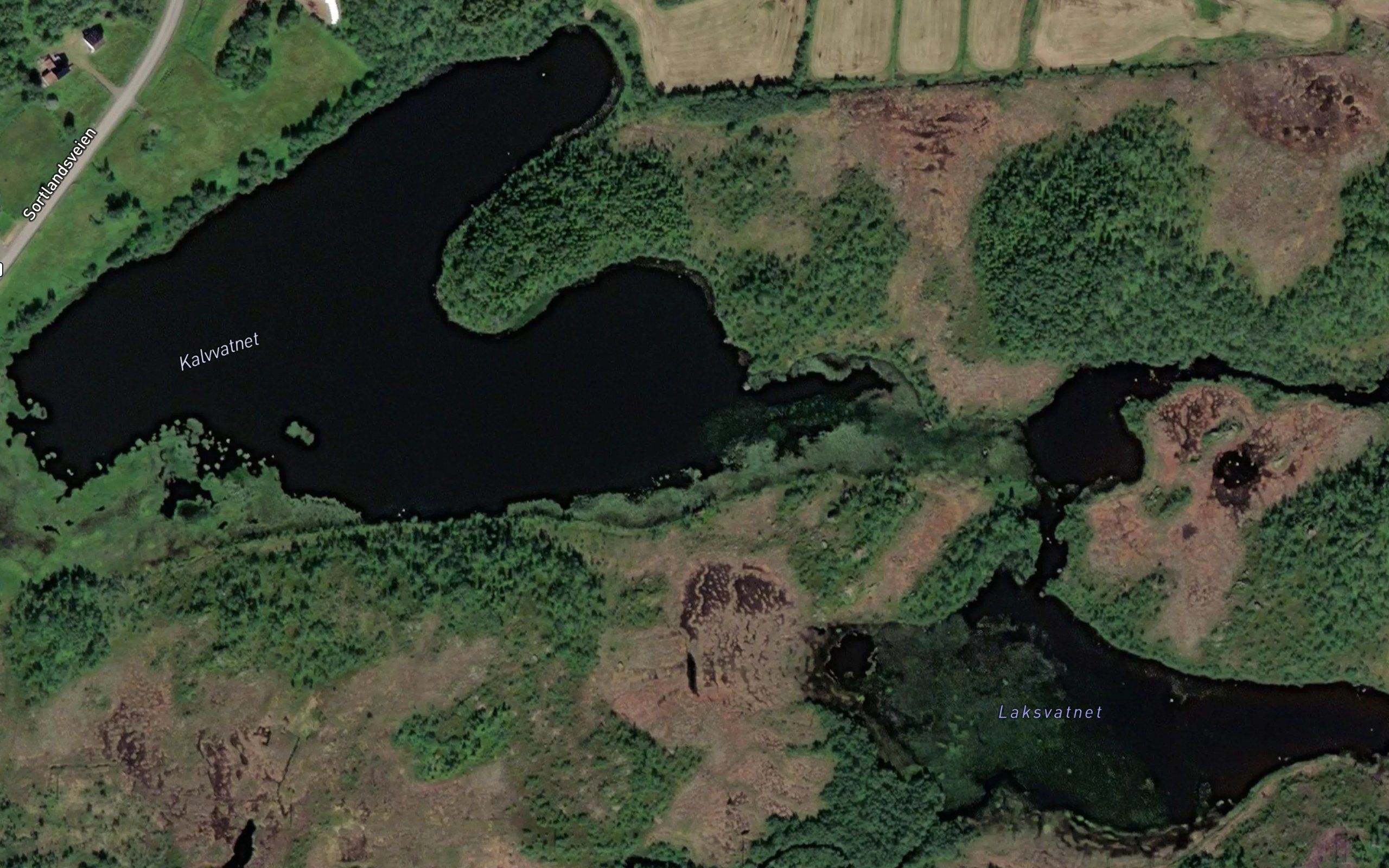 Laksvatnet