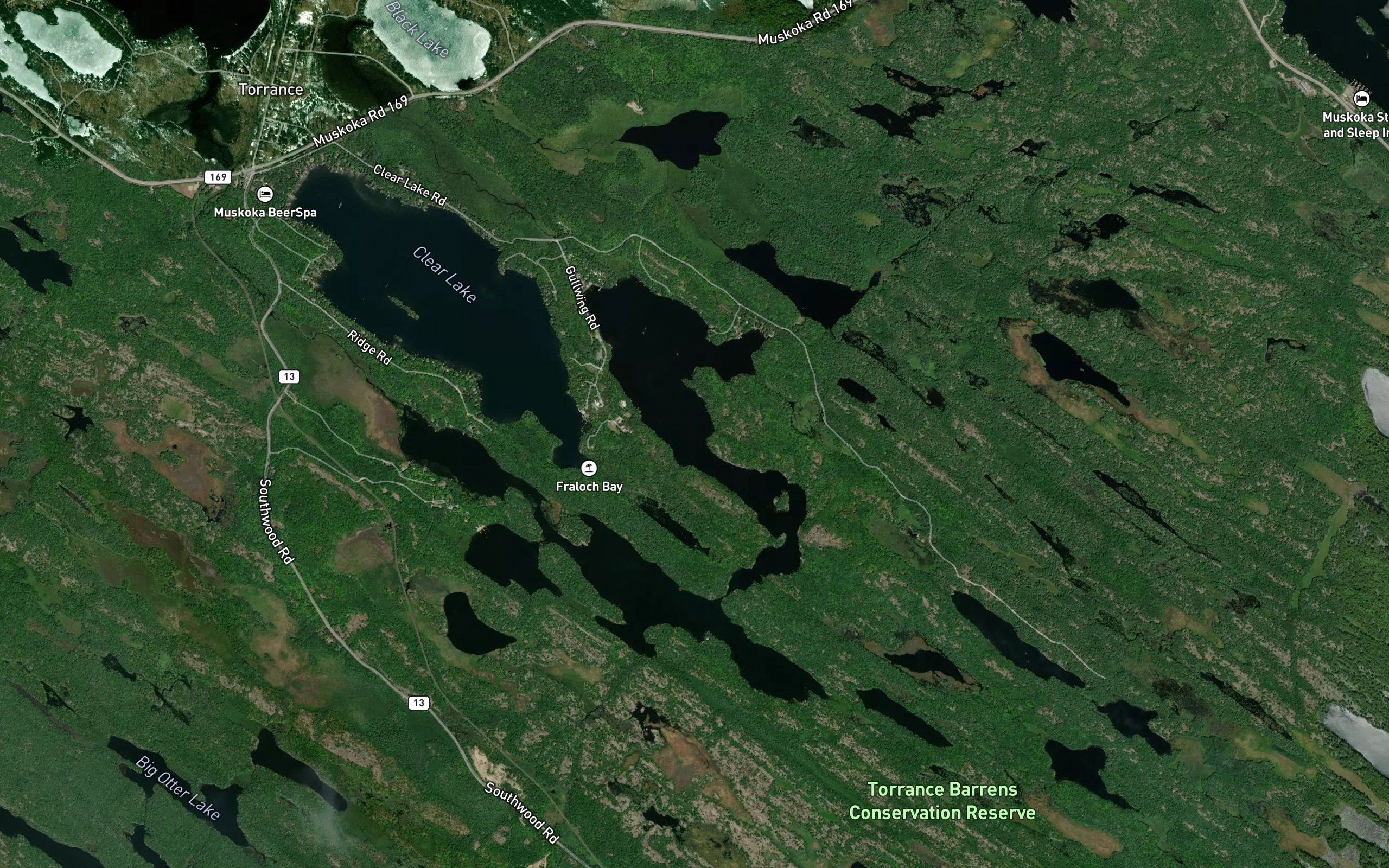 Gullwing Lake