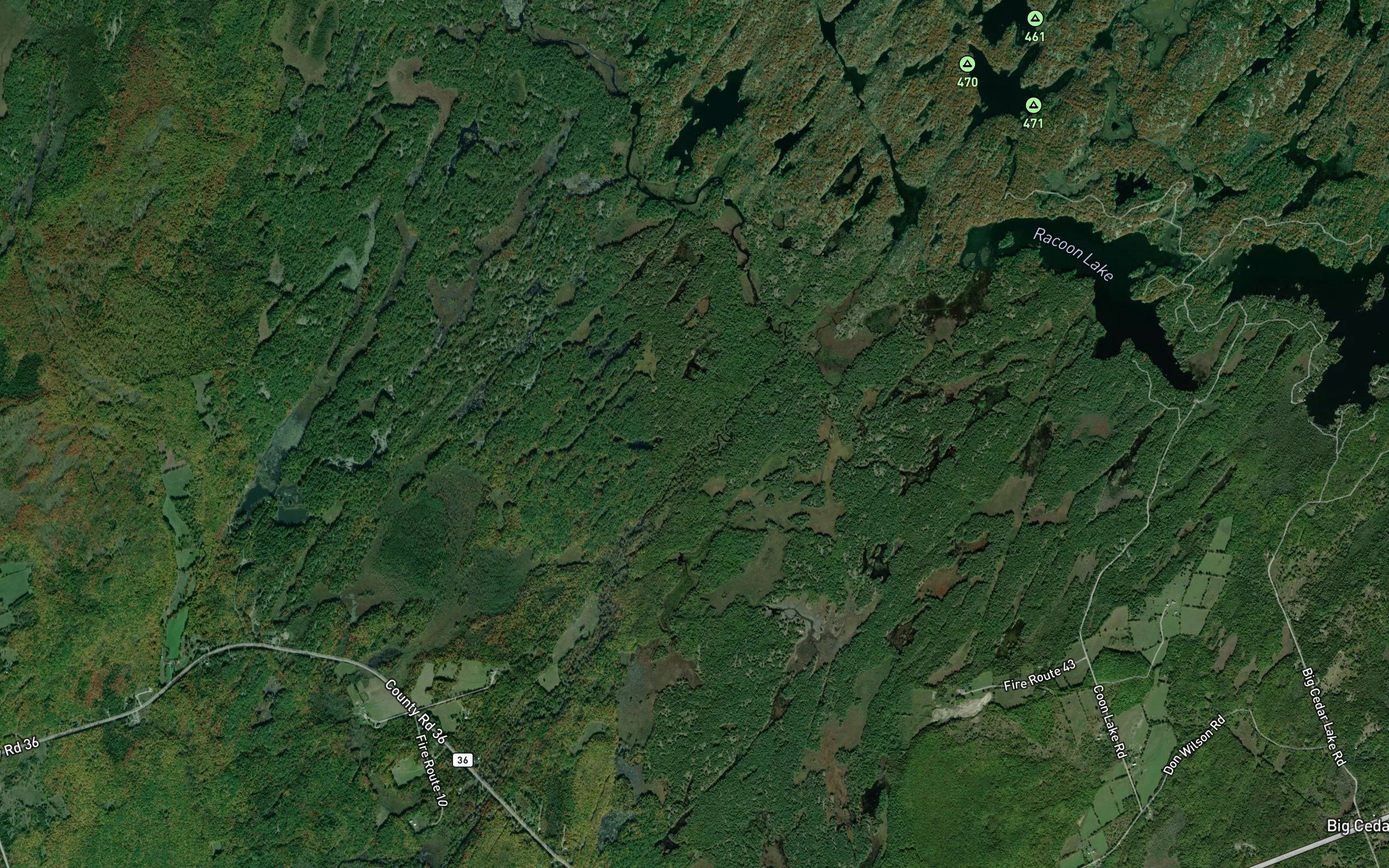 Buzzard Creek