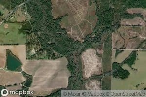 Satilla Creek