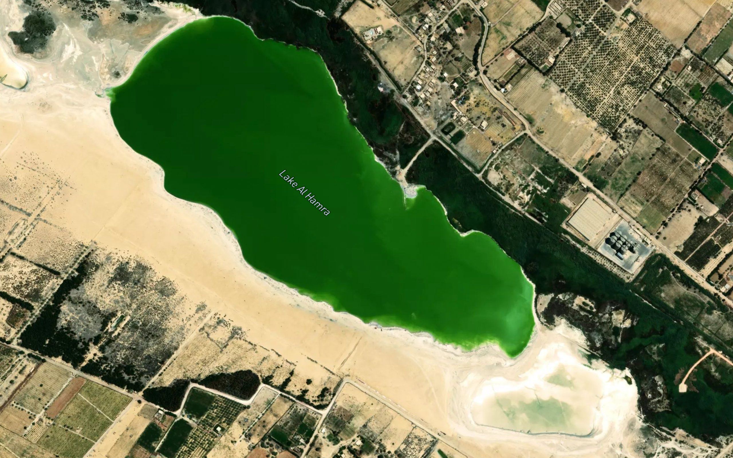 Buhayrat al Hamra'