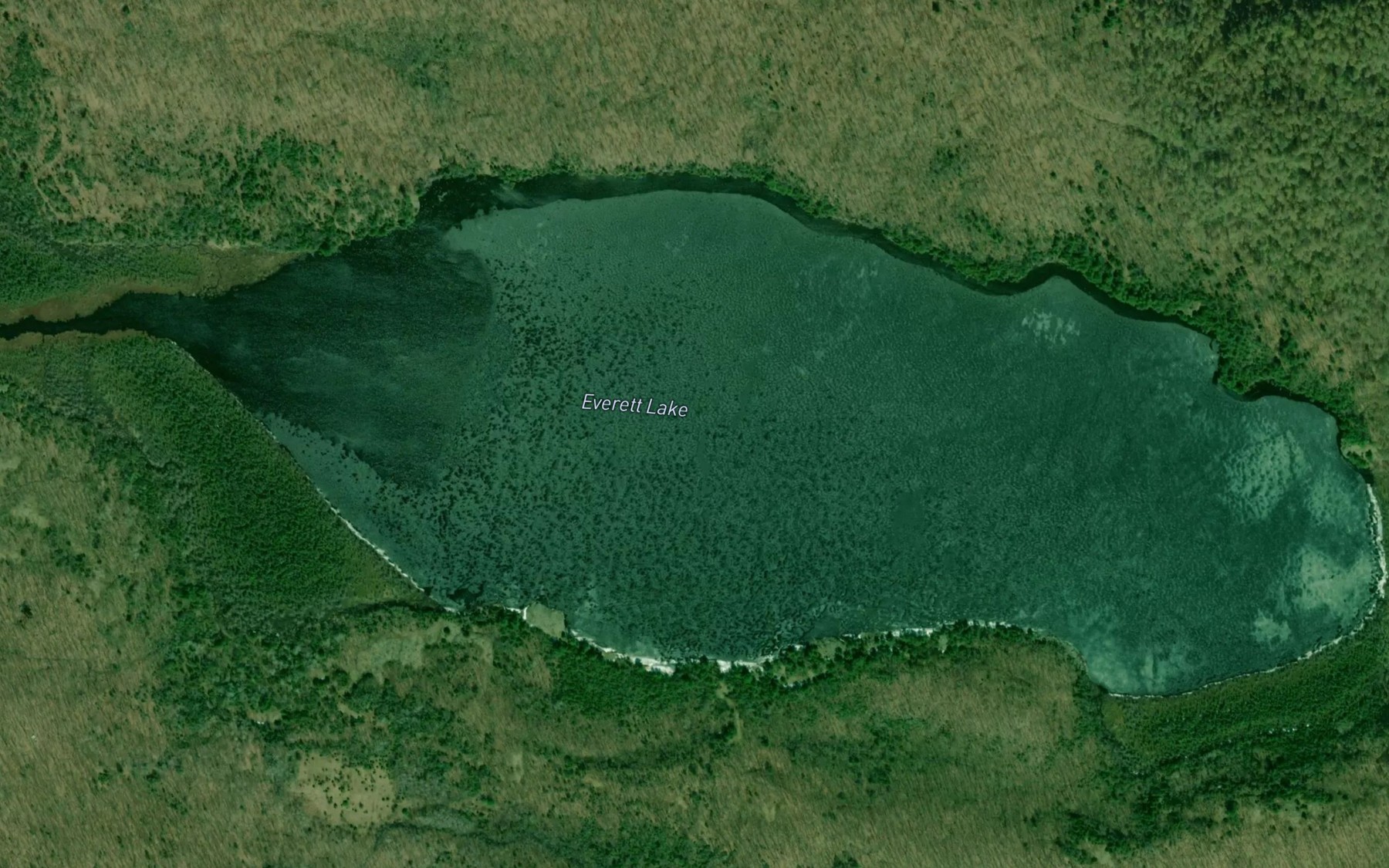 Satellite map of the Everett Lake