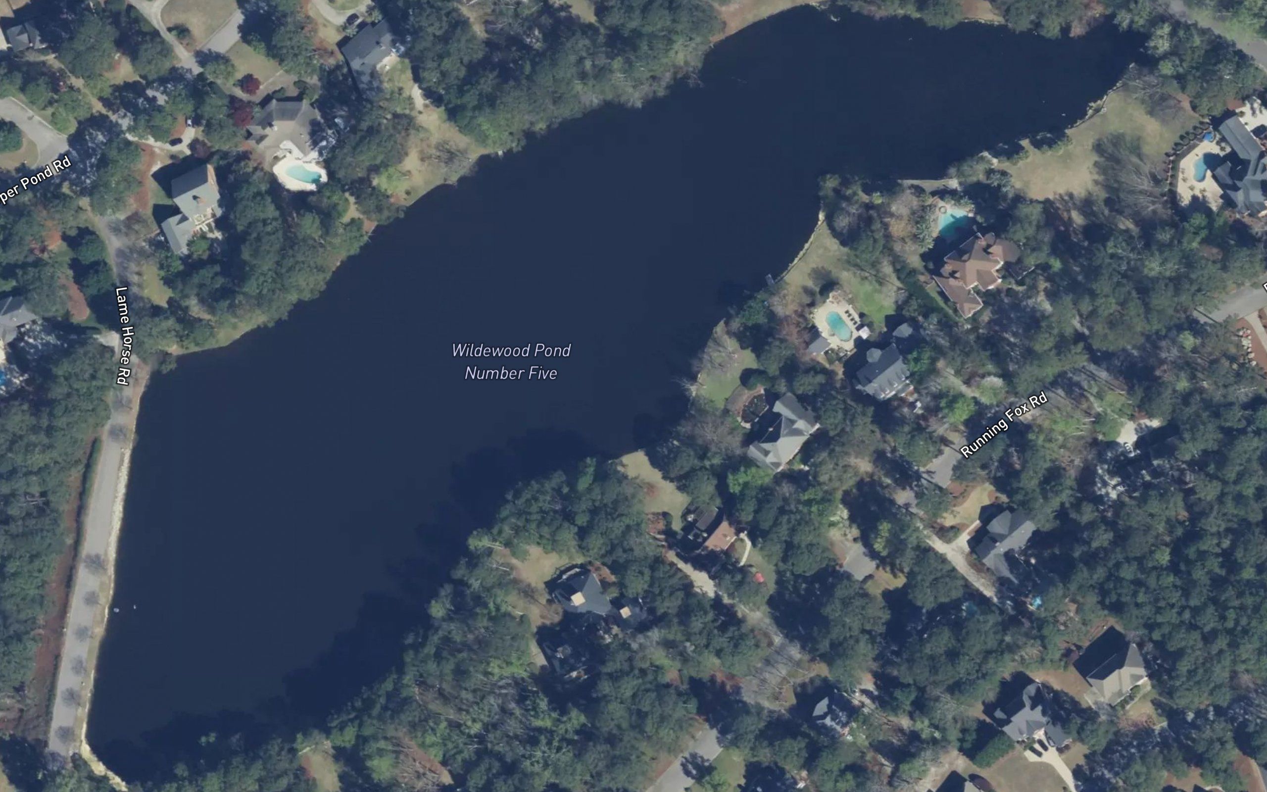 Wildewood Pond Number Five
