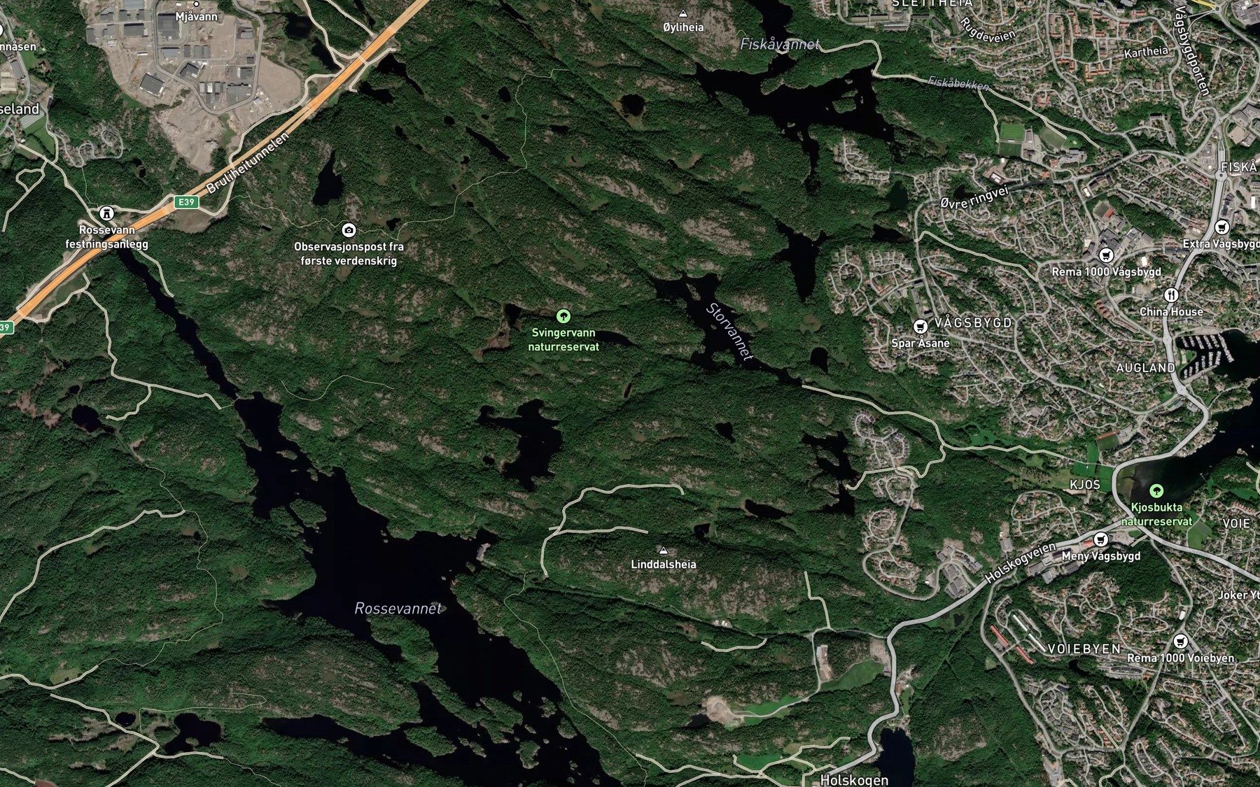 Satellite map of the Svingerlitjonna