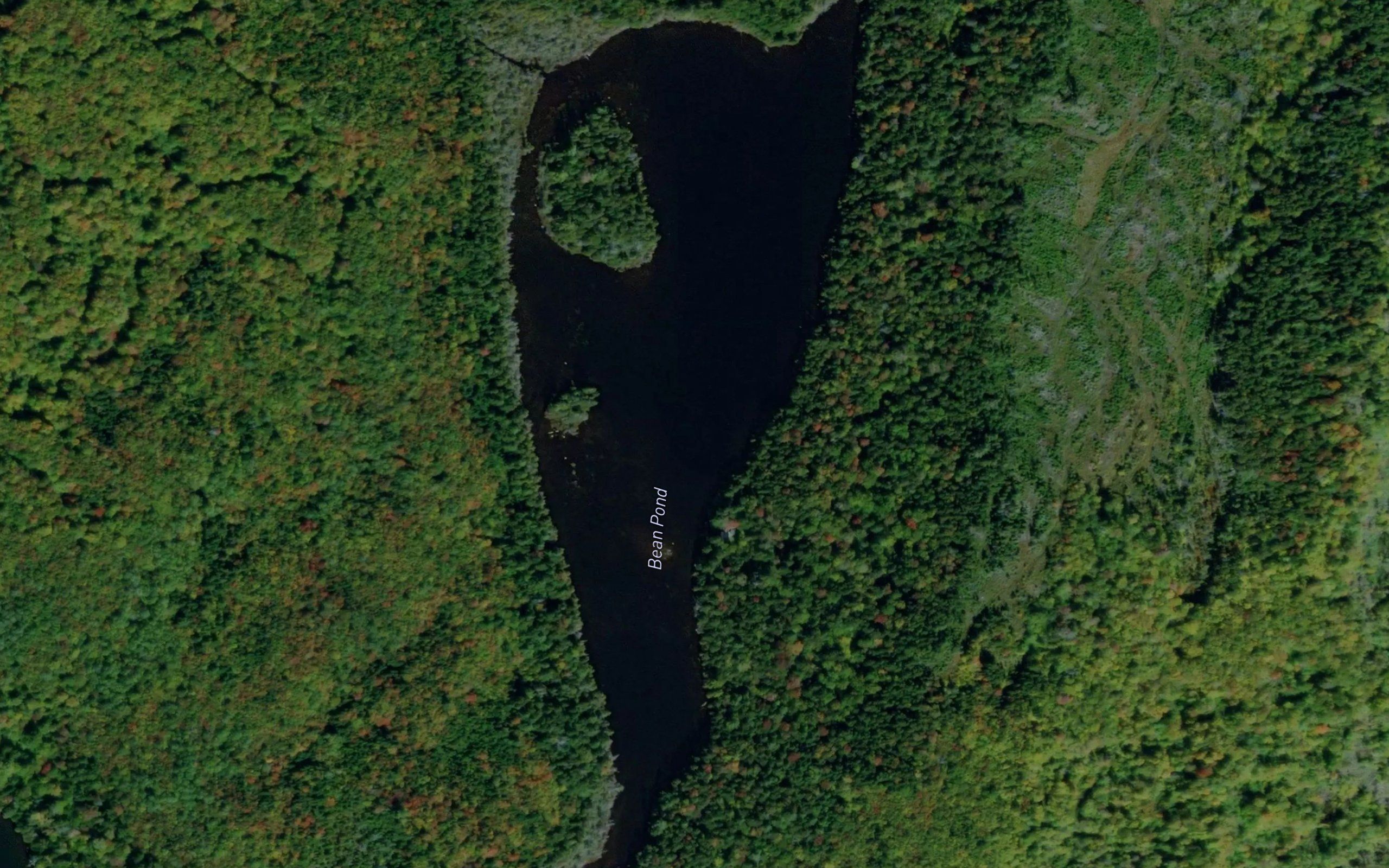 Bean Pond