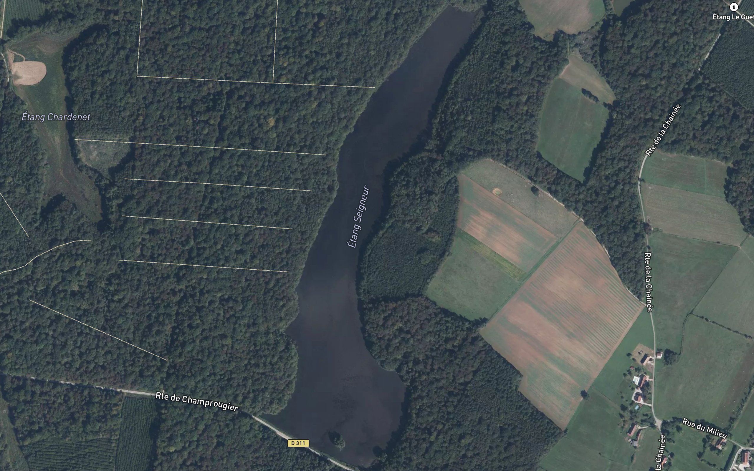 Etang Seigneur