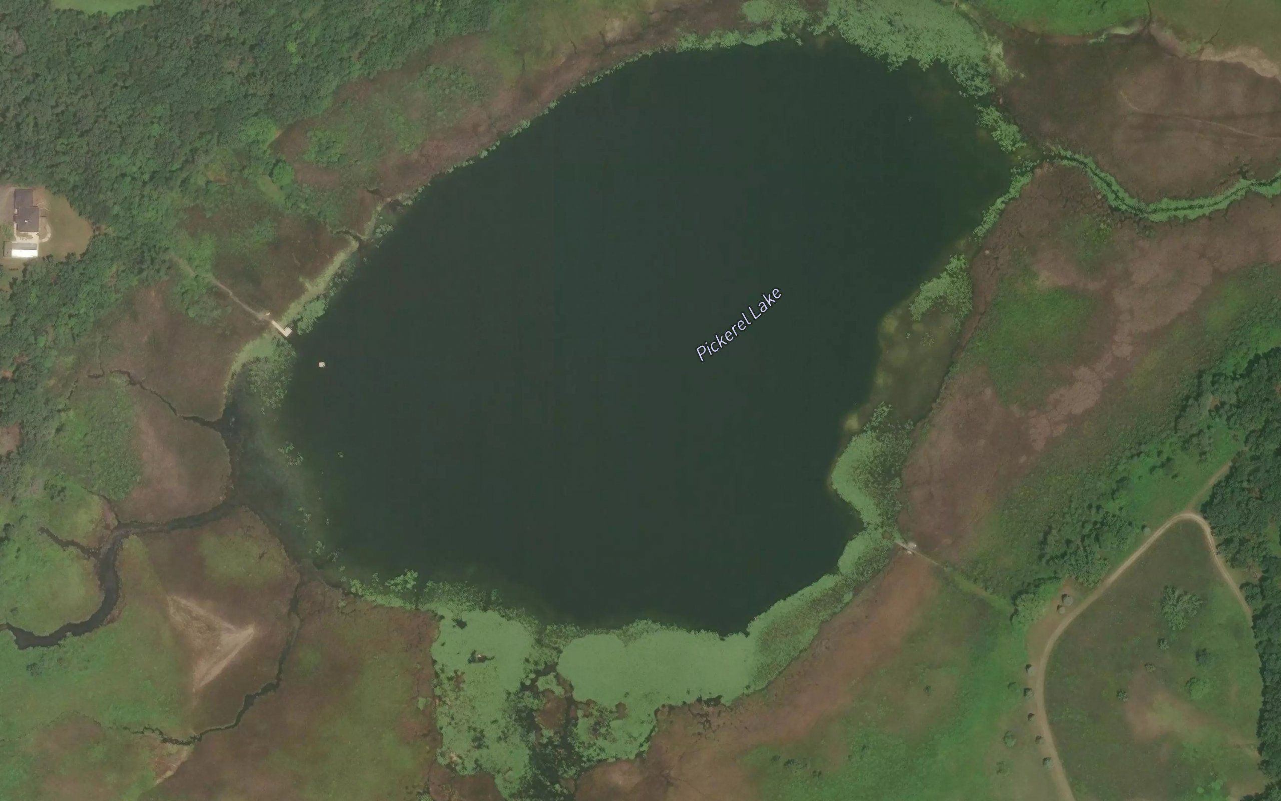 Pickerel Lake