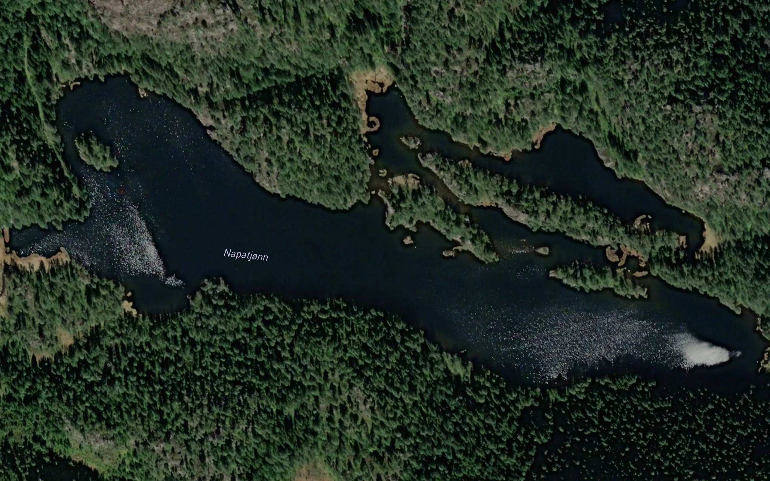 Napatjorn
