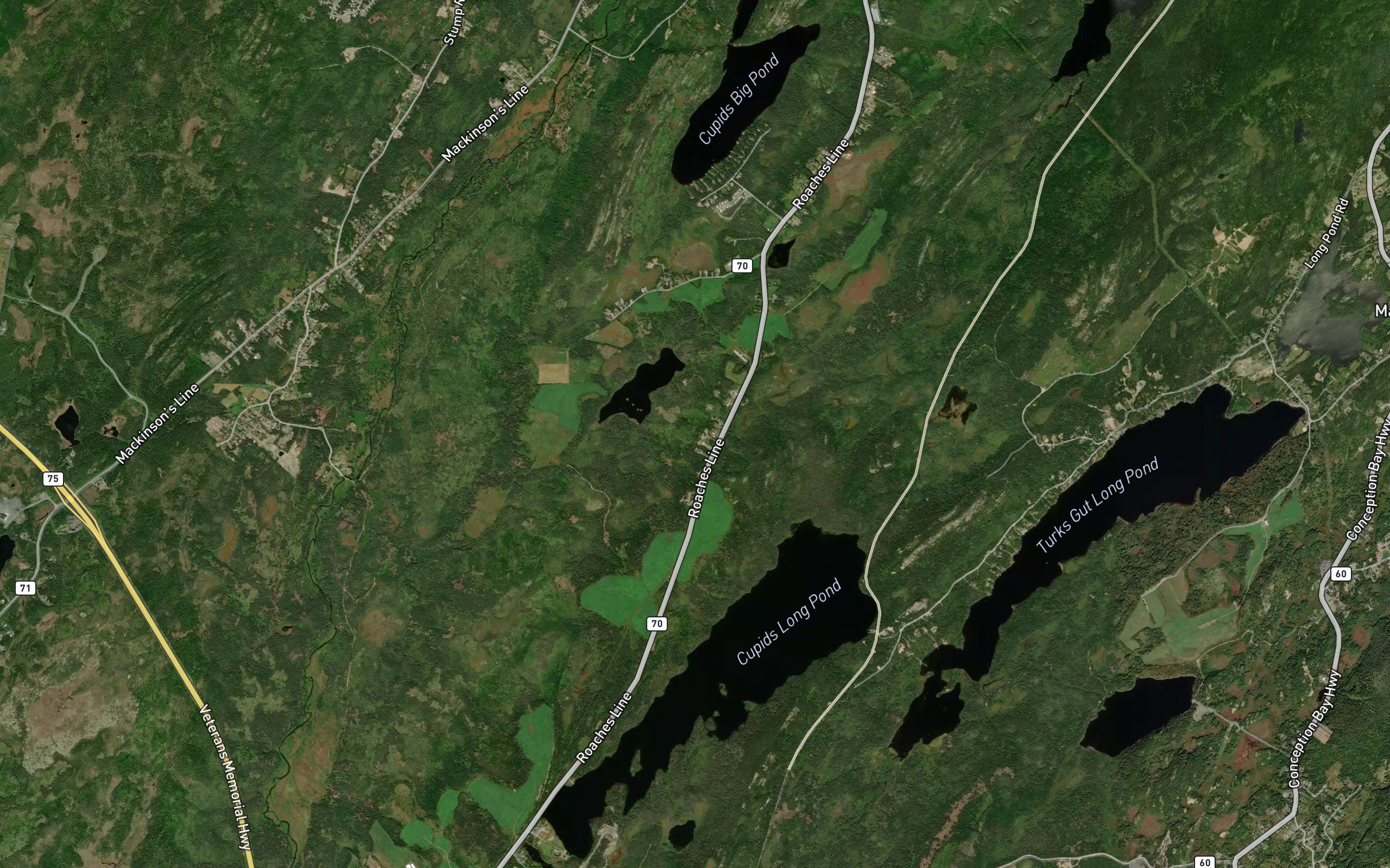 Beaver Pond