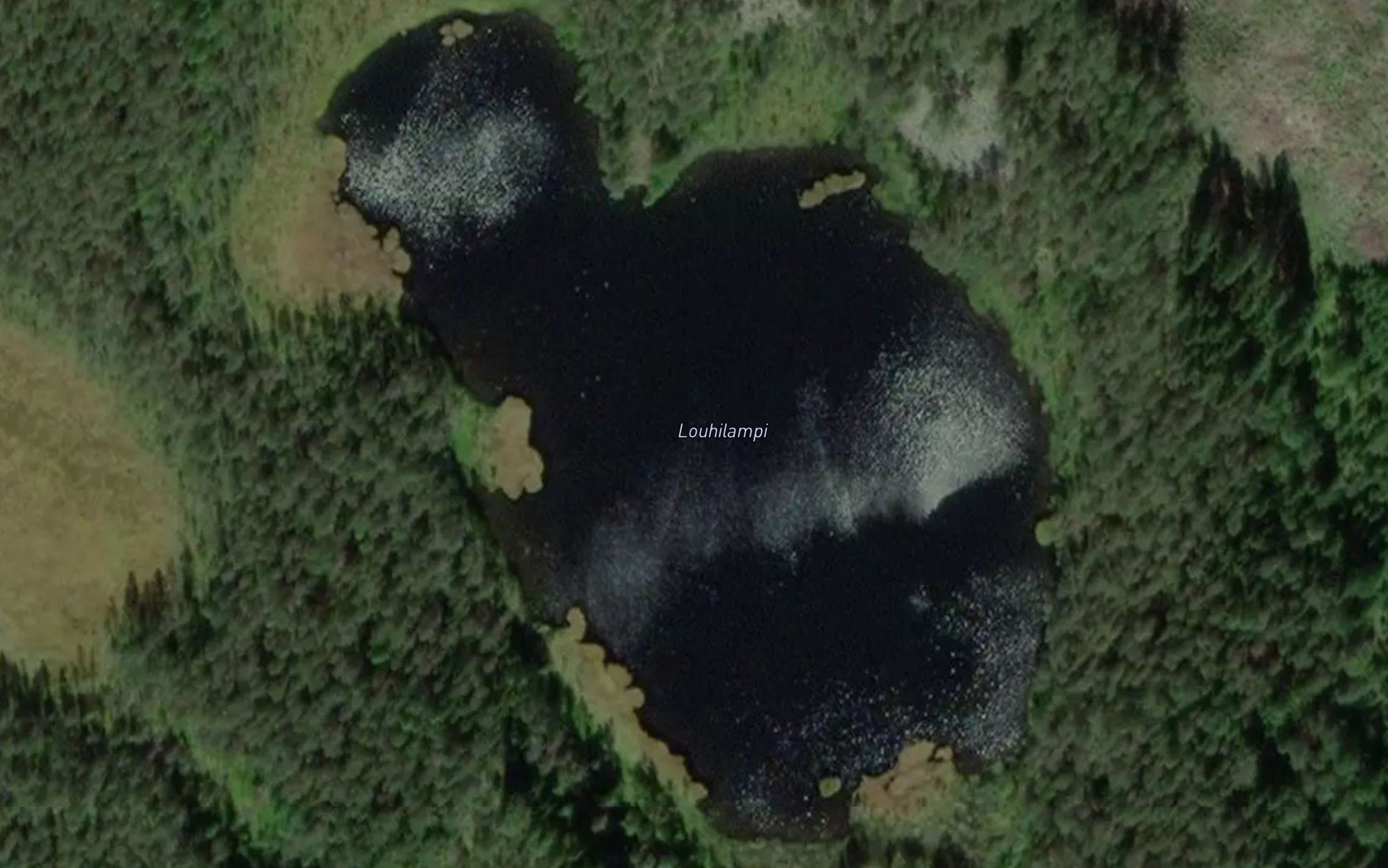 Louhilampi