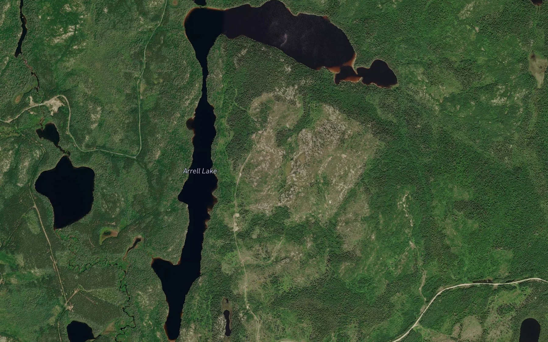 Satellite map of the Arrell Lake