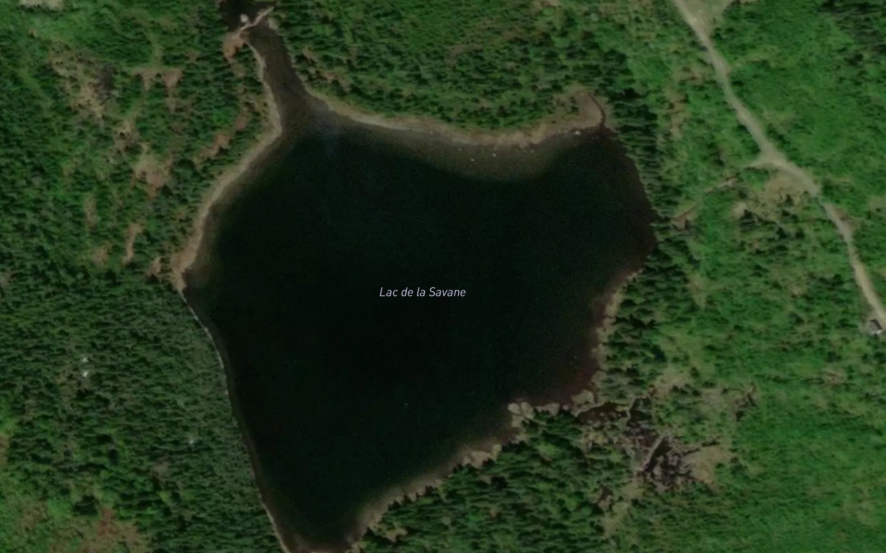 Satellite map of the Lac de la Savane