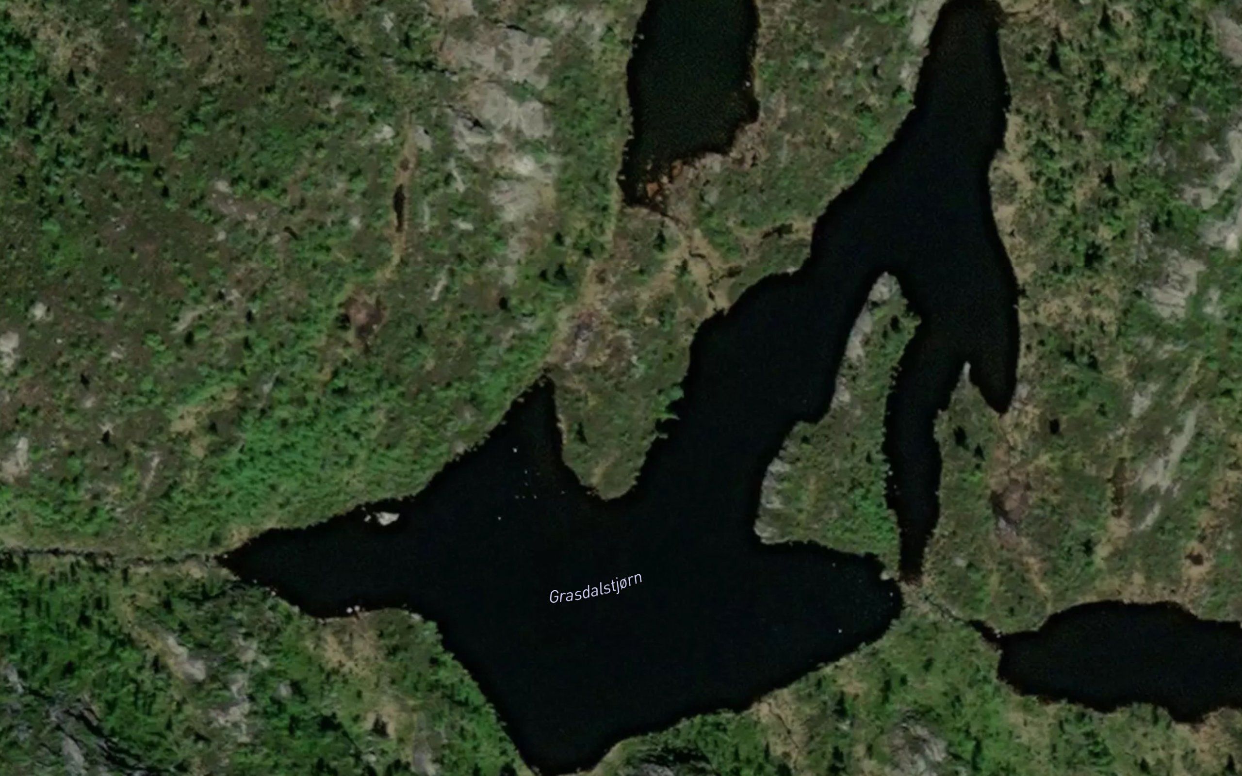 Grasdalstjorn