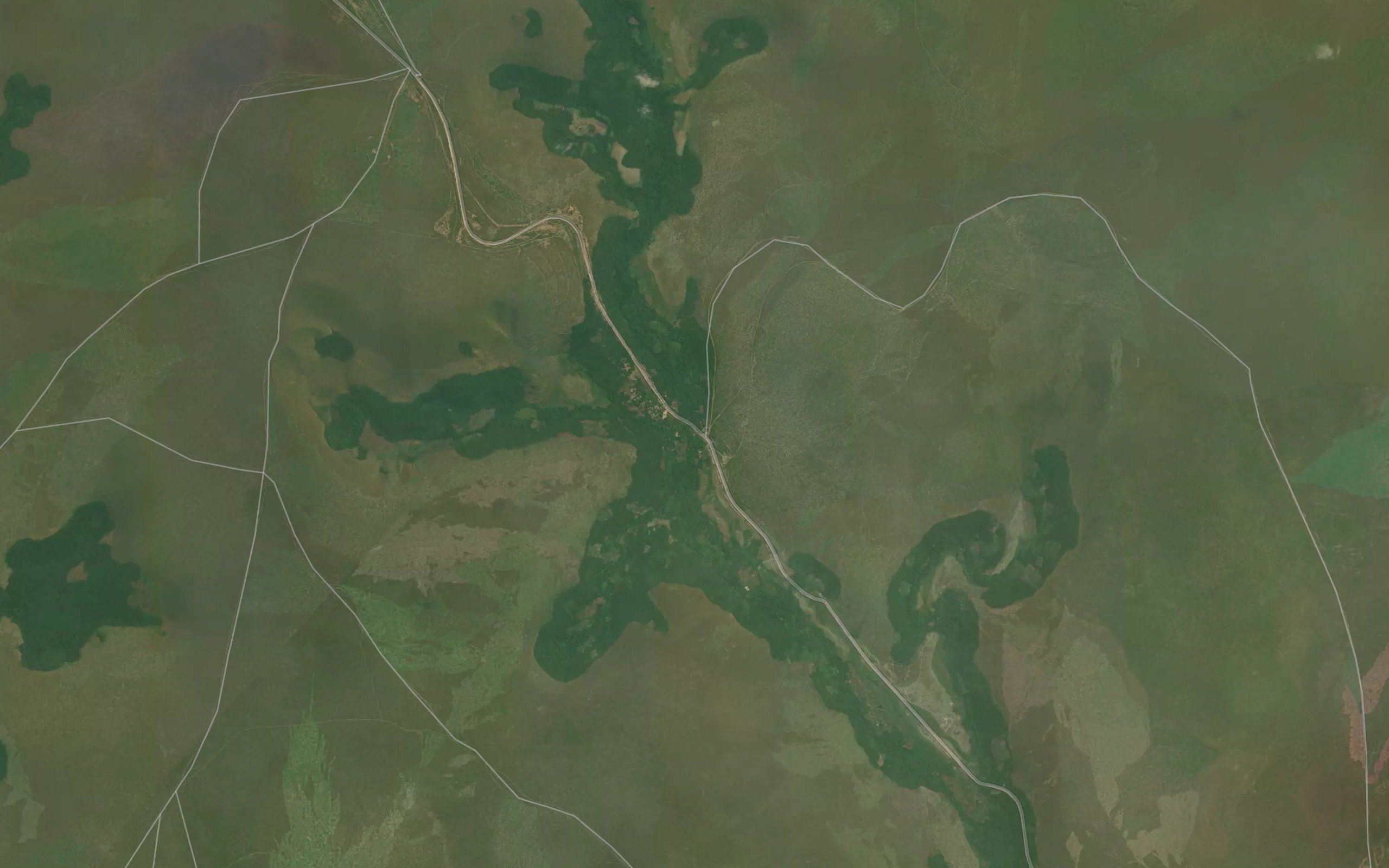 Nguiri