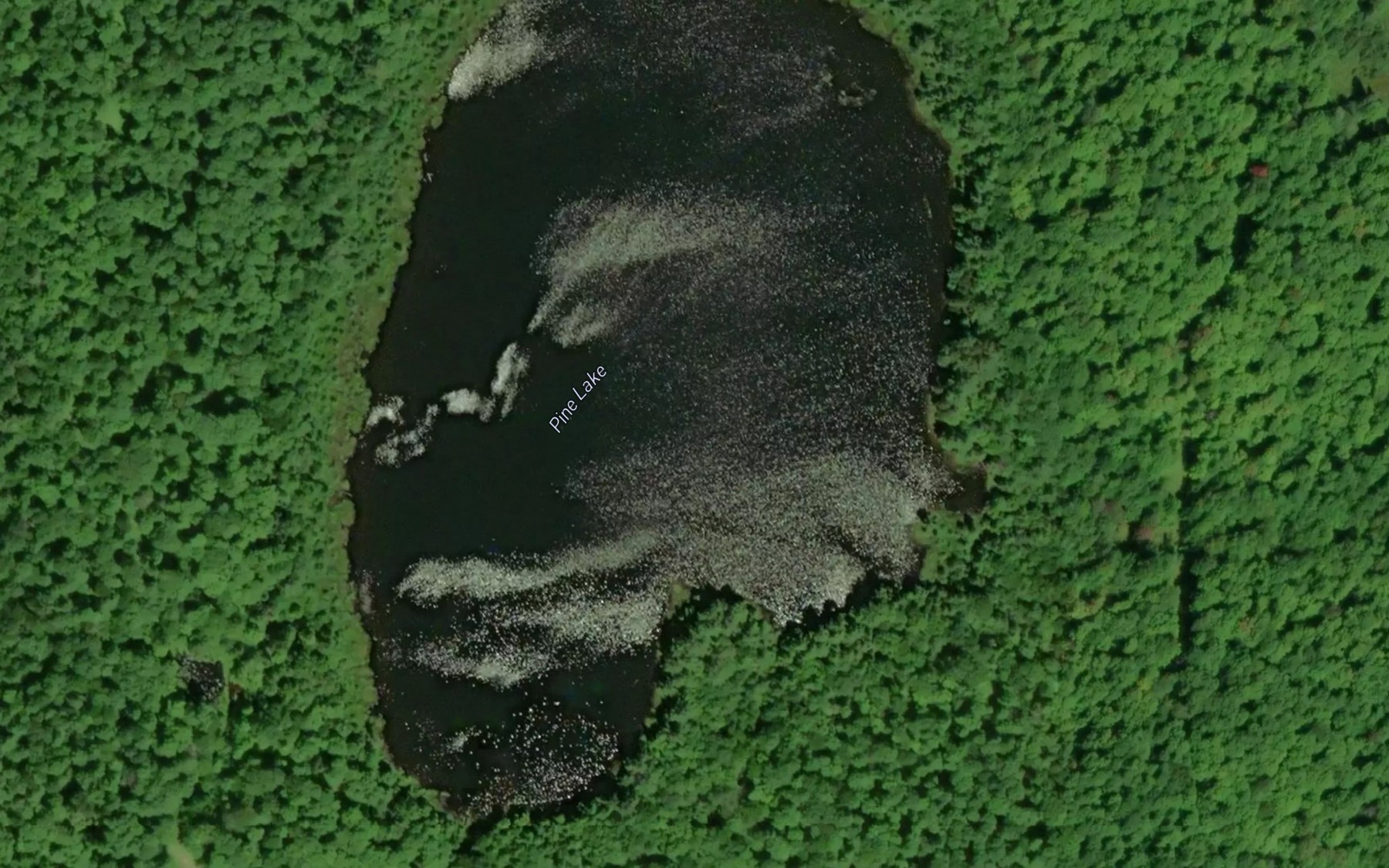 Satellite map of the Pine Lake