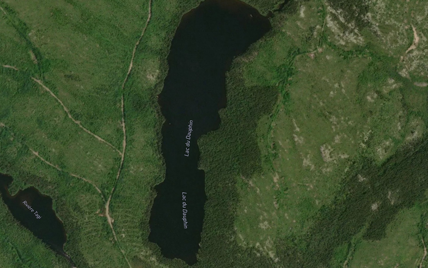 Satellite map of the Lac du Dauphin