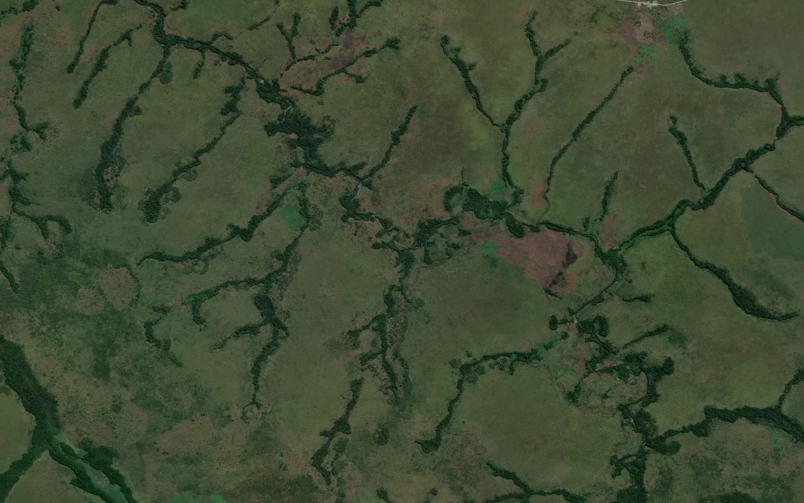 Mapumbogo