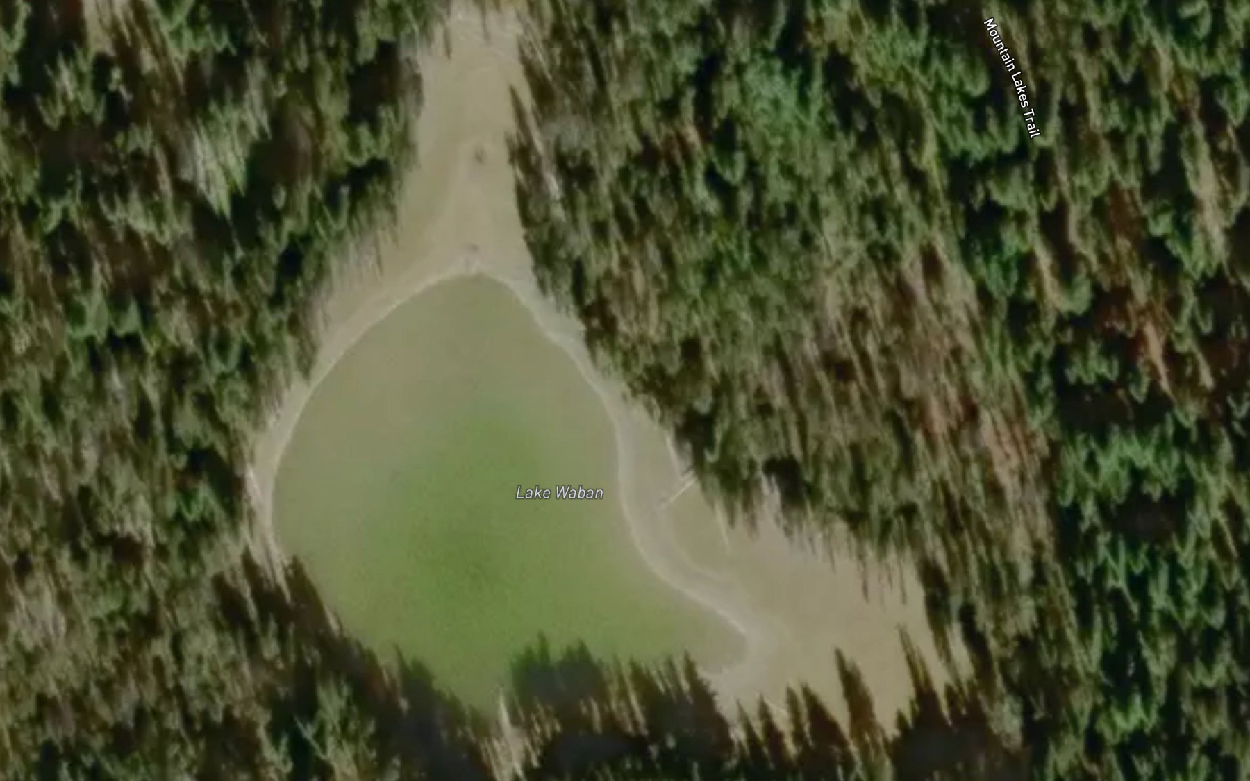 Satellite map of the Lake Waban