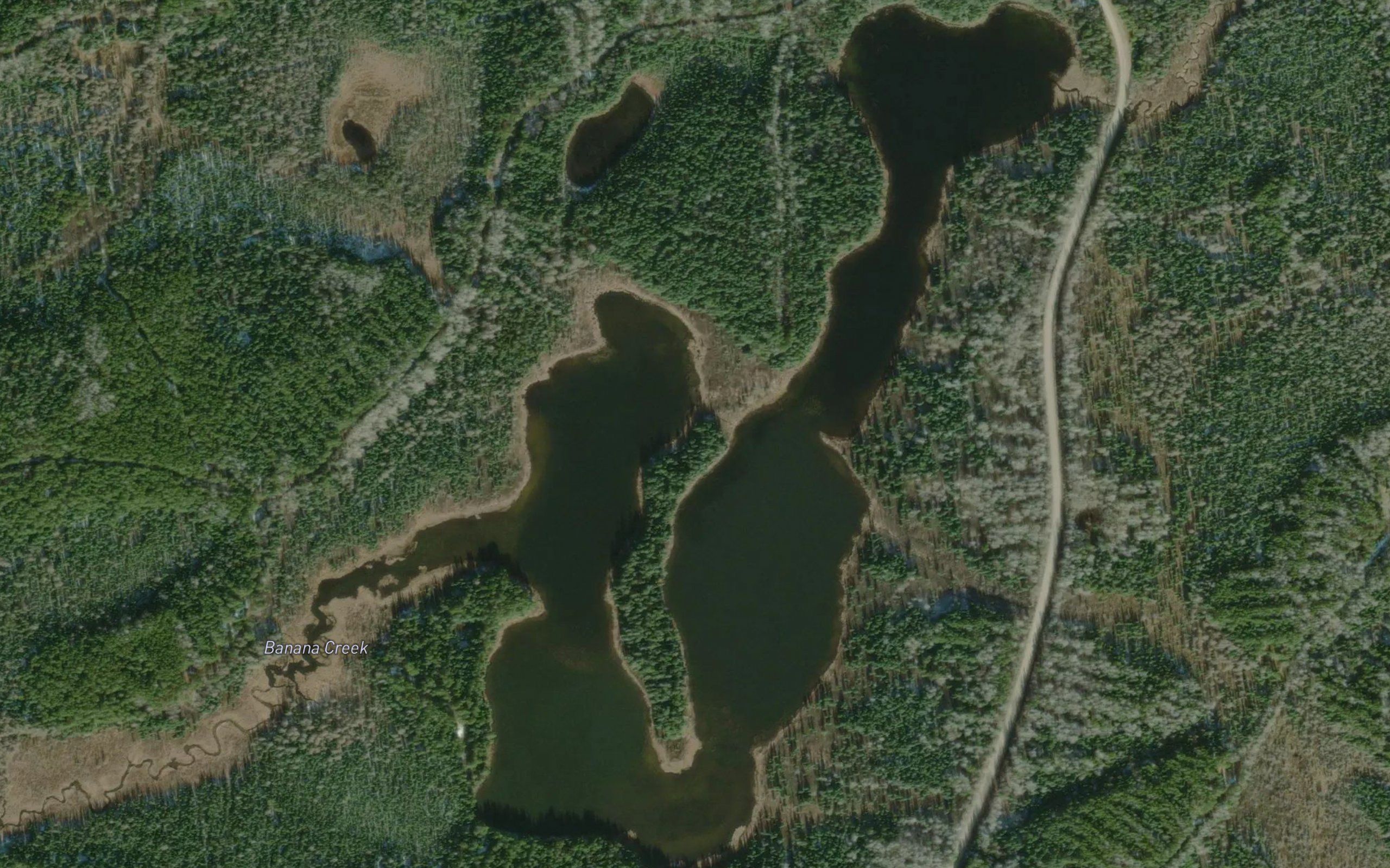 Luckyshoe Lake