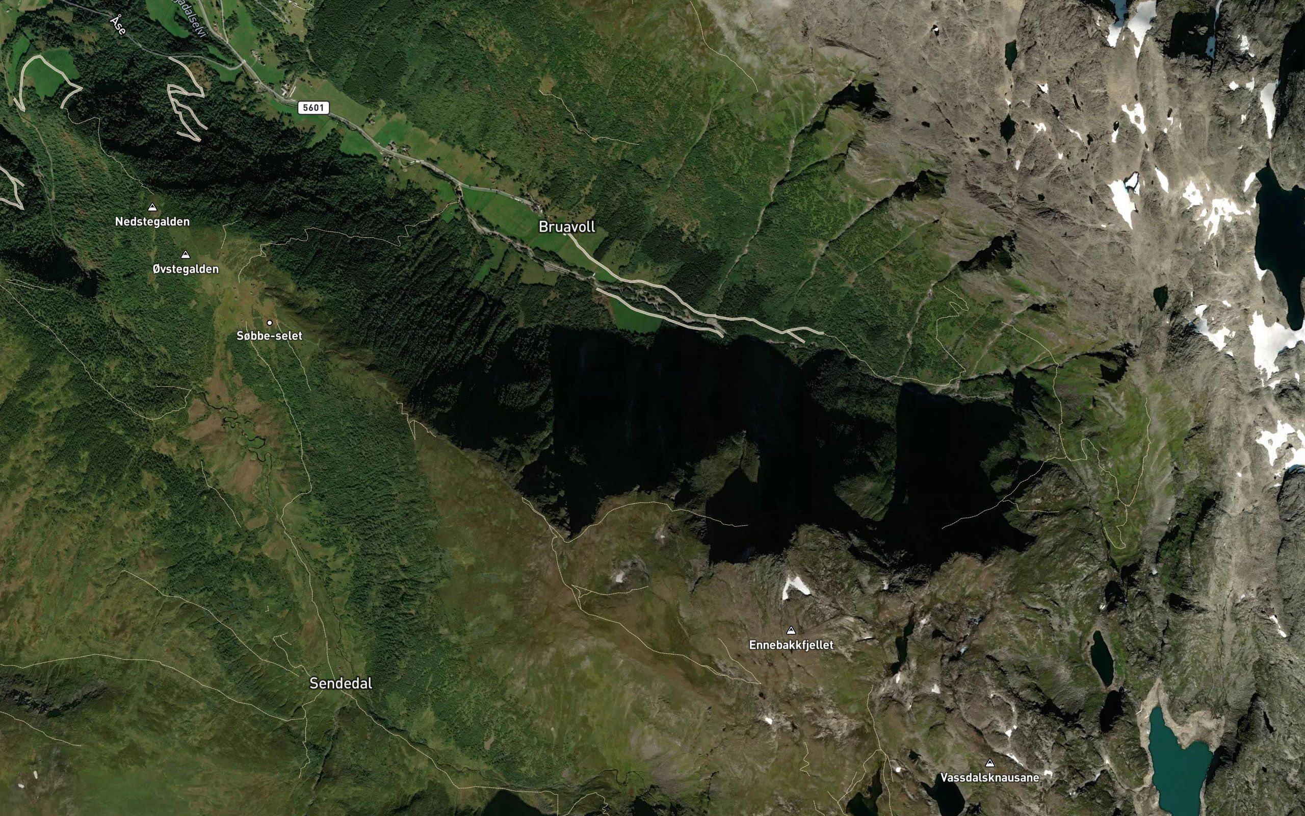 Svagrovi
