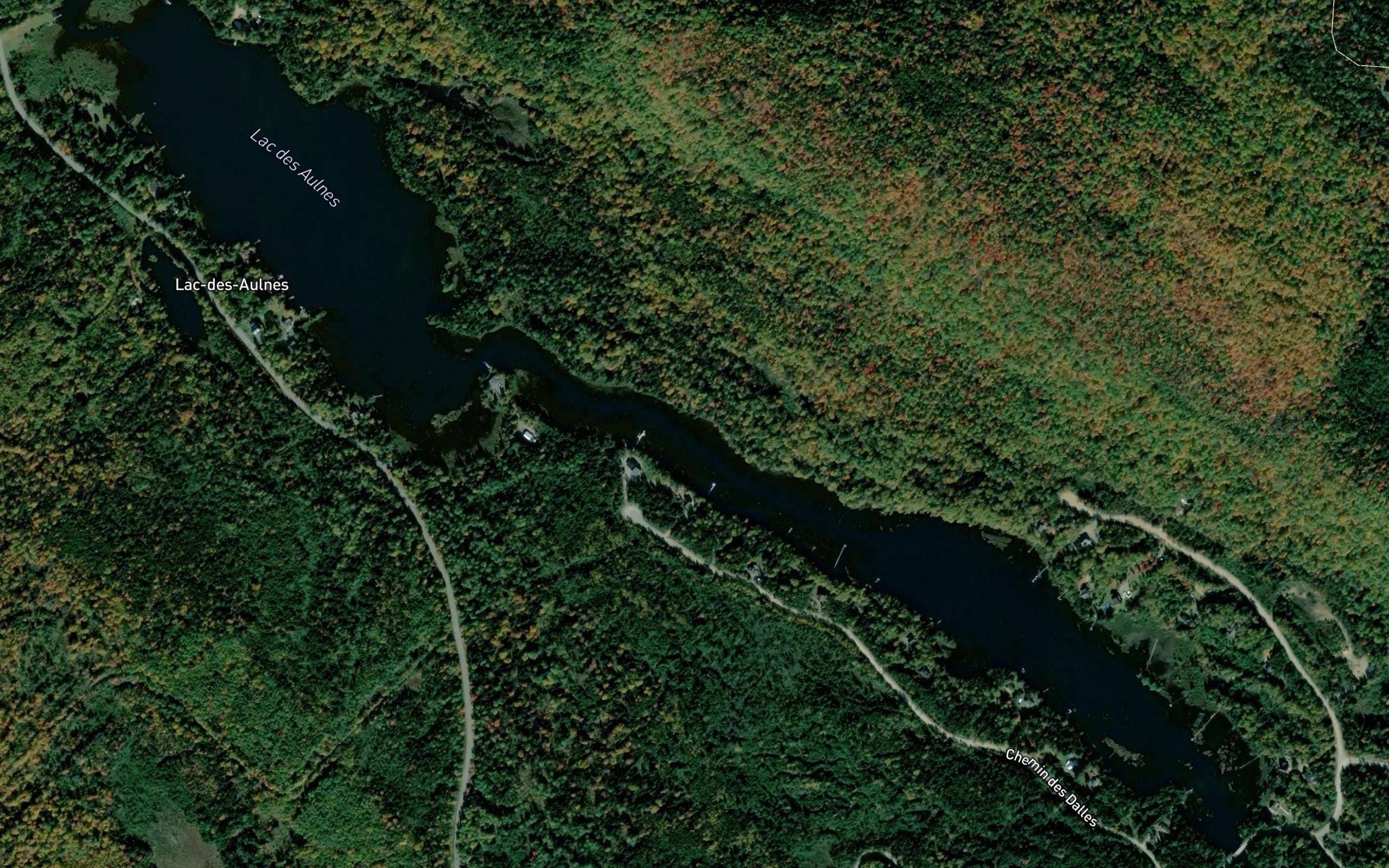 Lac des Aulnes