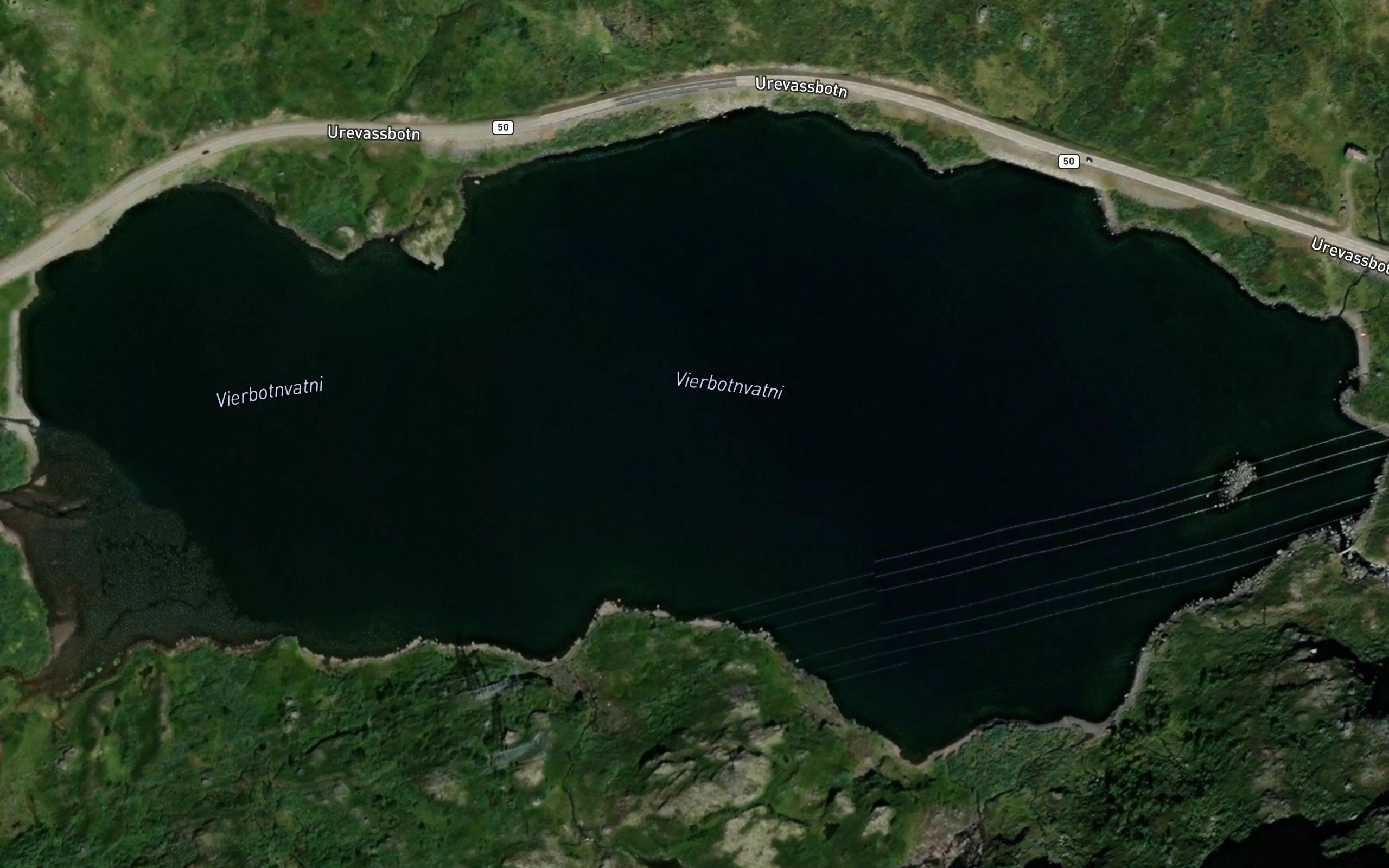 Vierbotnvatni
