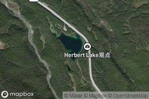 Herbert Lake