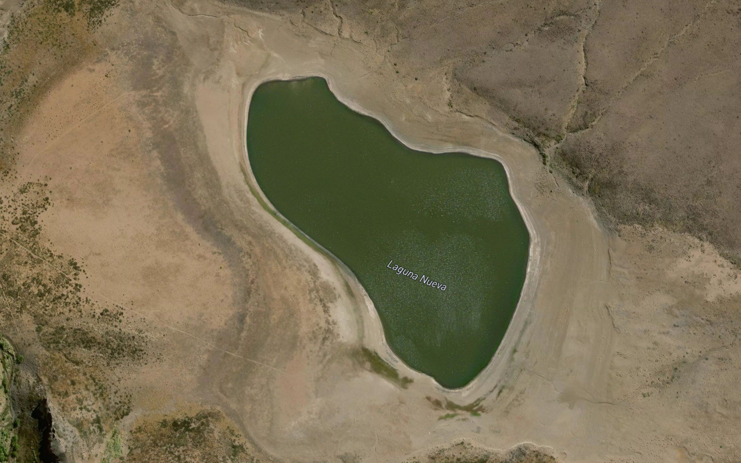 Laguna Nueva