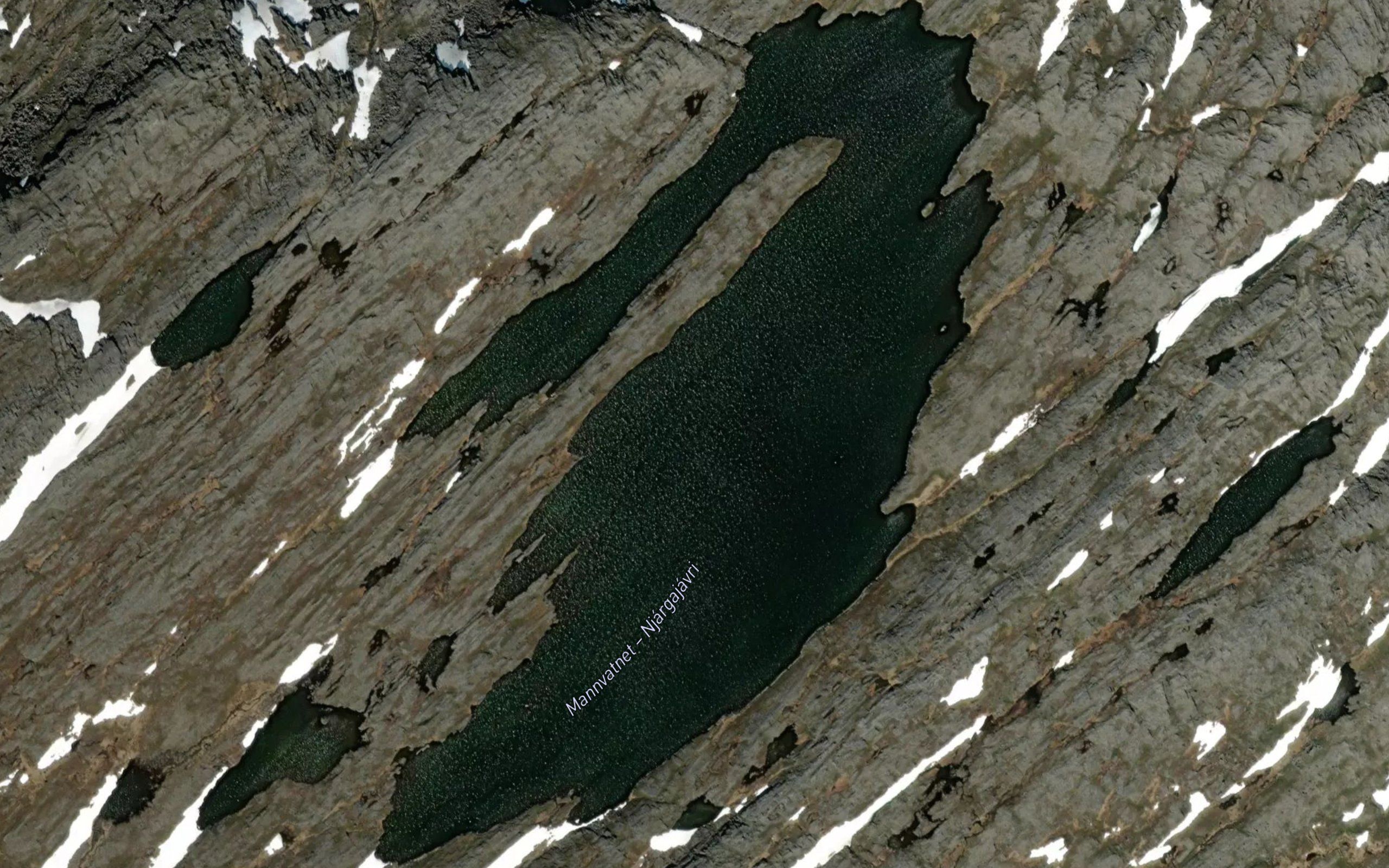 Njargajavri