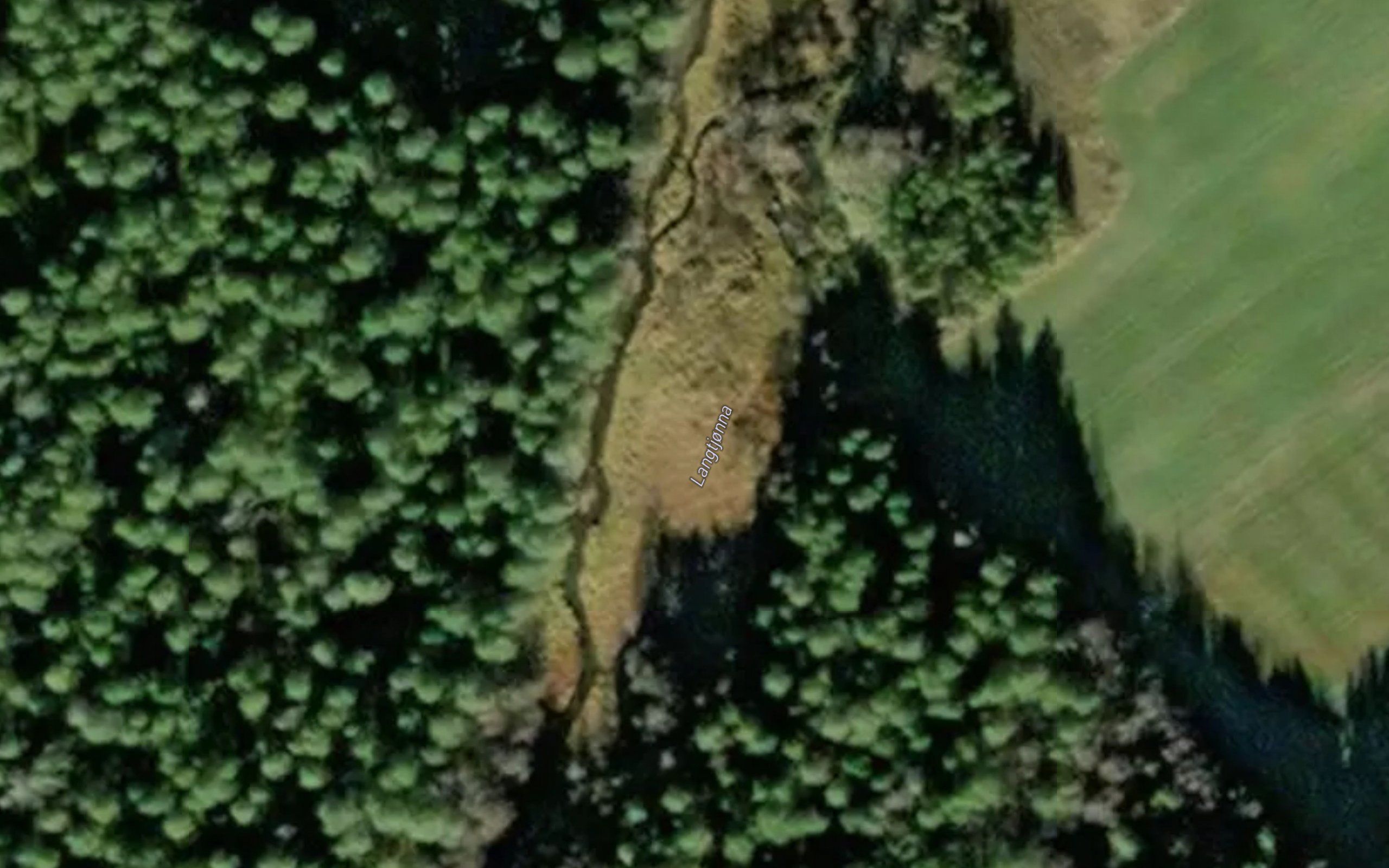 Langtjorna