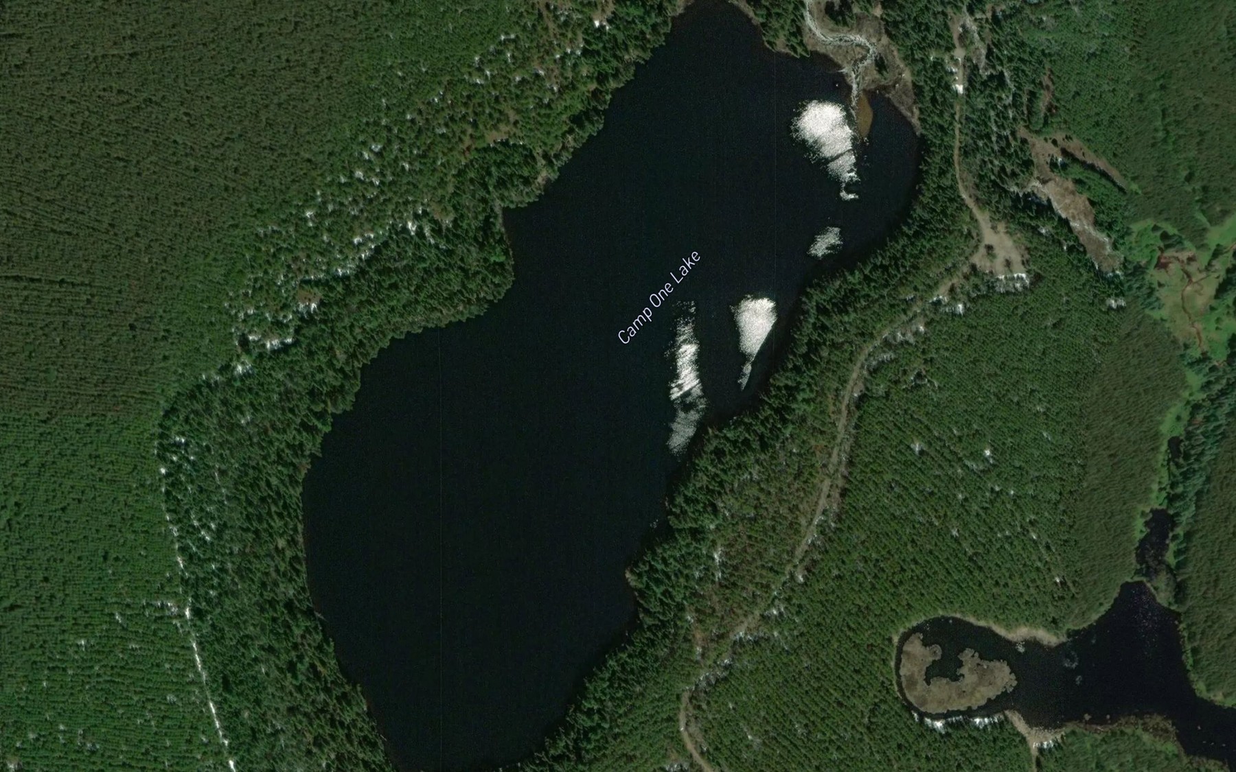 Satellite map of the Camp One Lake