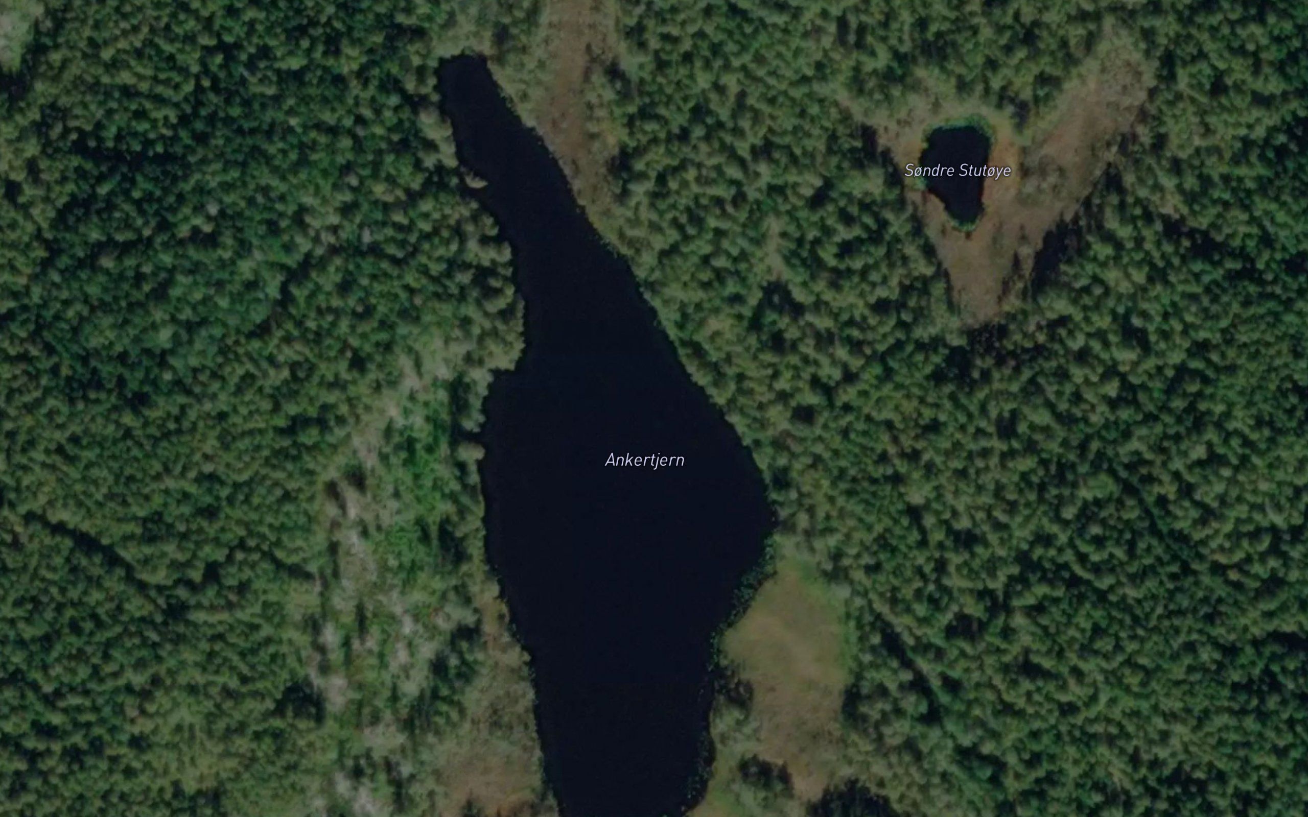 Ankertjern