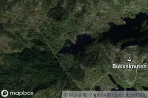Svanelitjorna