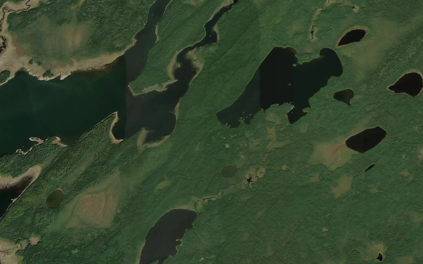 Satellite map of the Doghole River