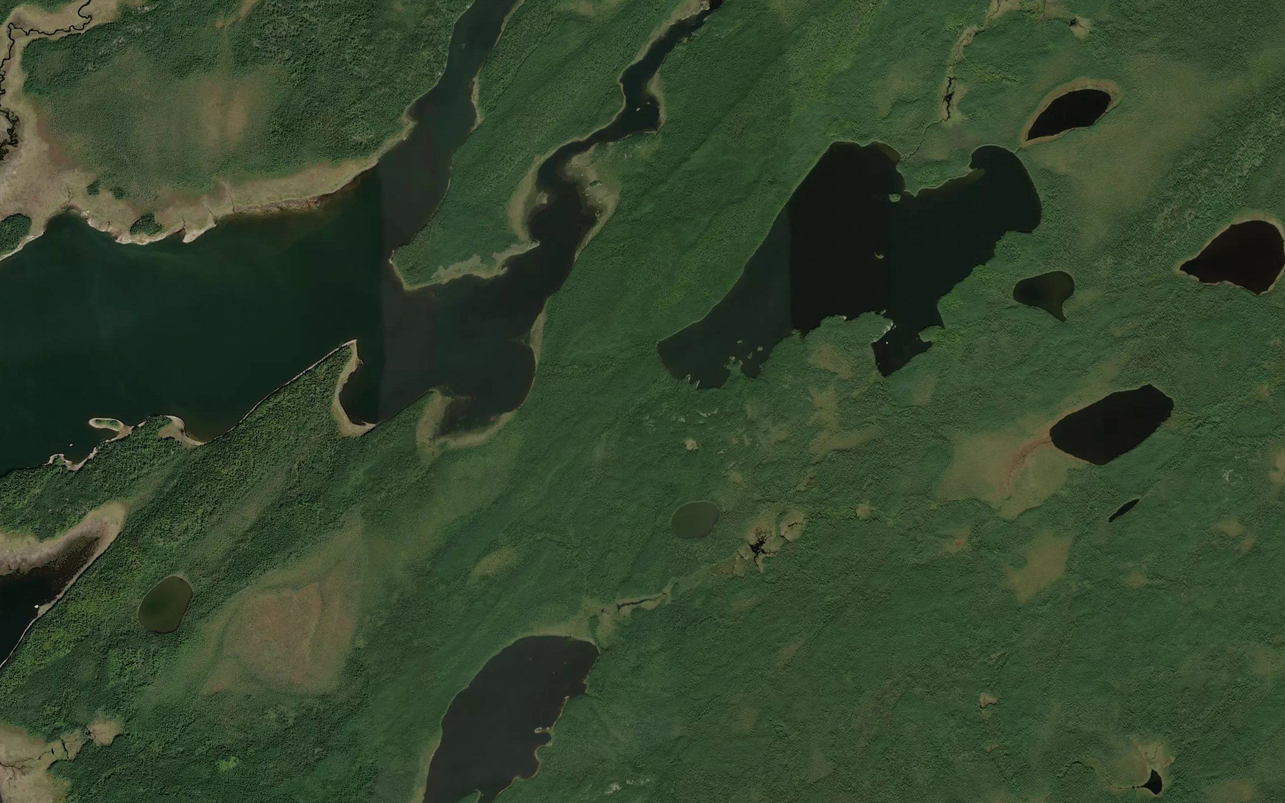 Doghole River