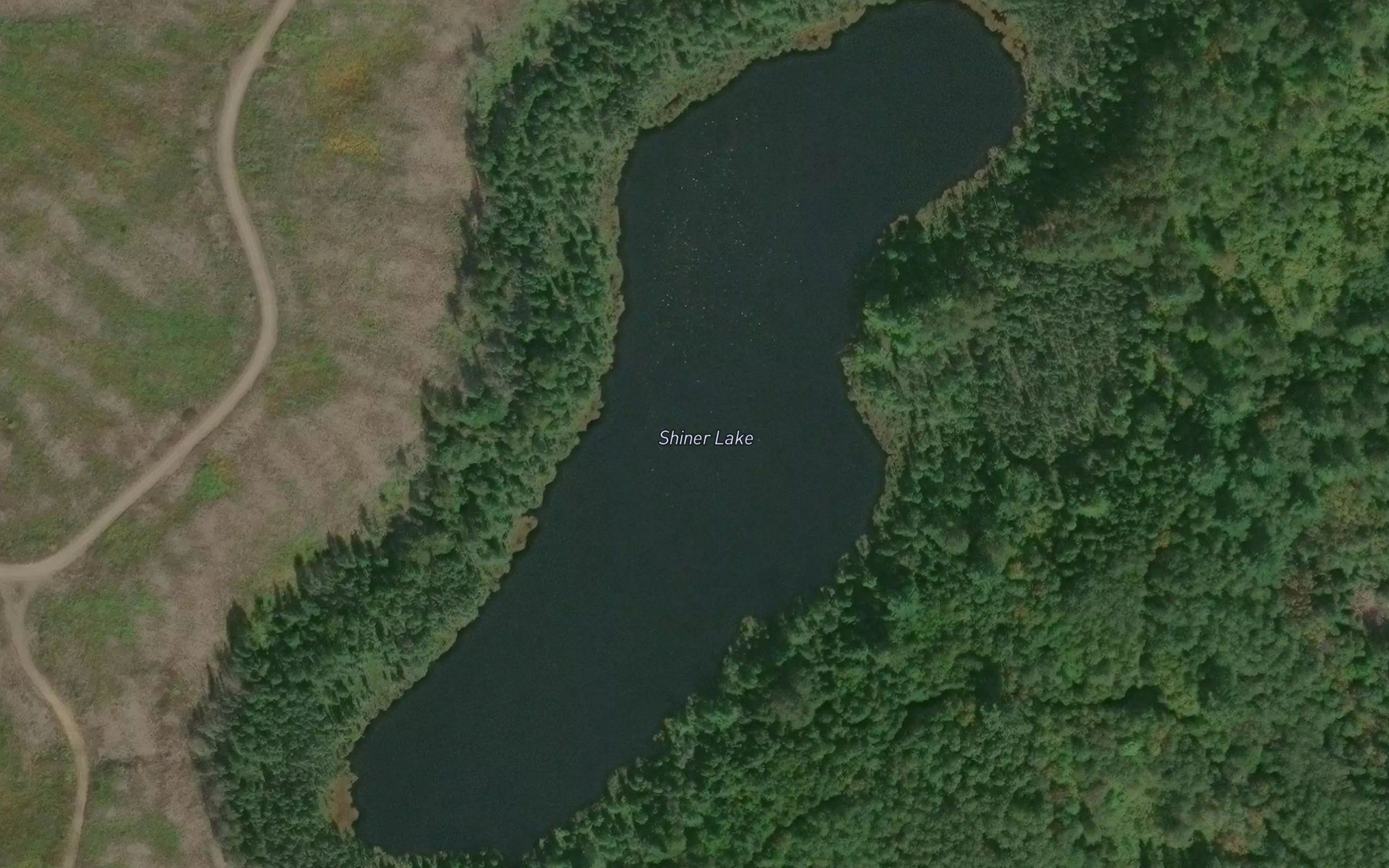 Shiner Lake