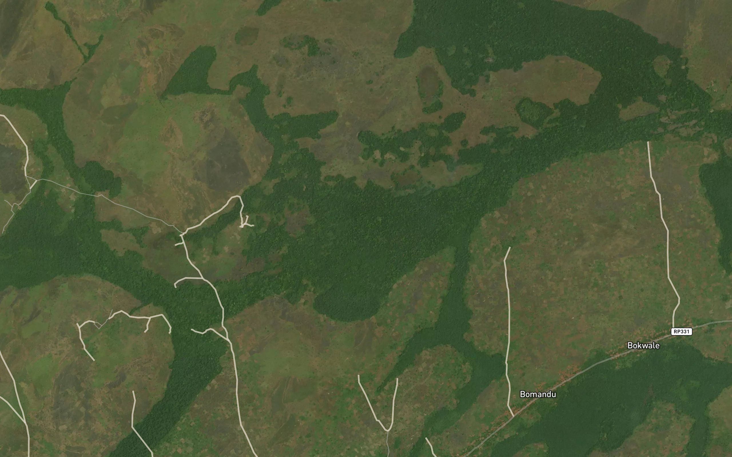 Bala