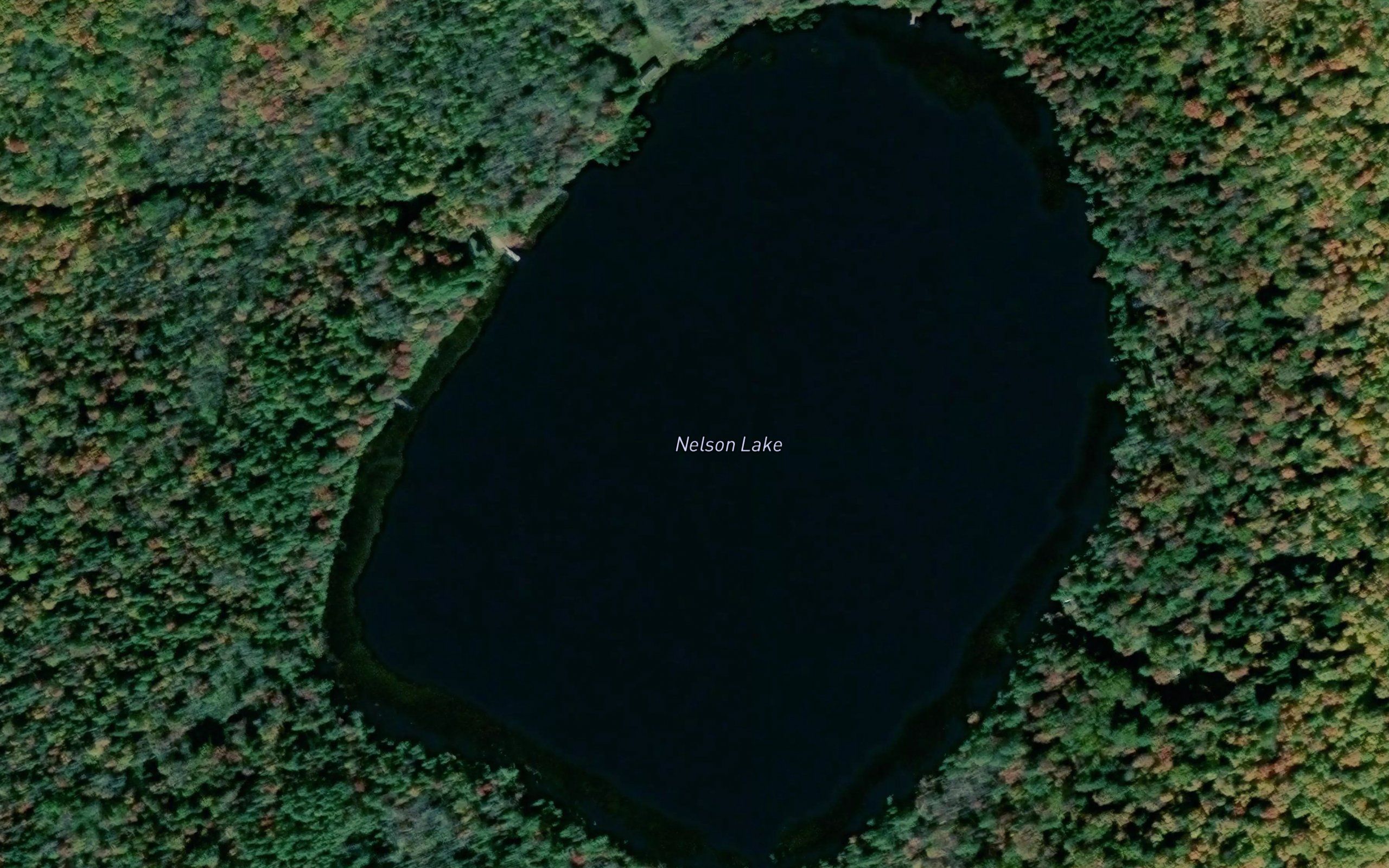 Nelson Lake