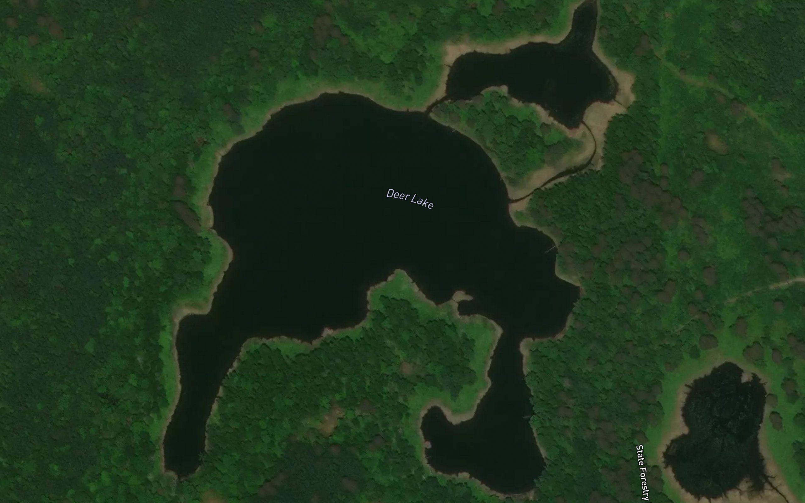 Deer Lake