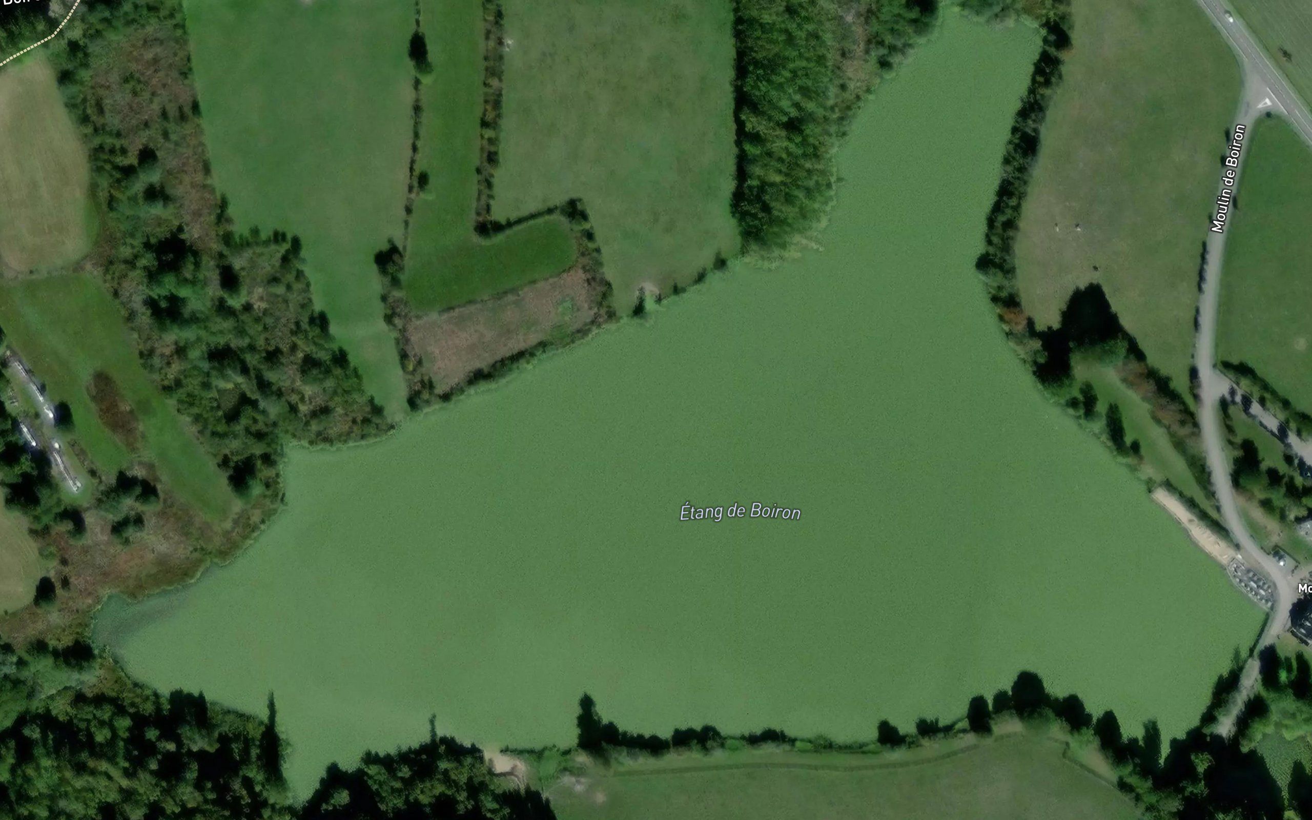 Etang de Boiron