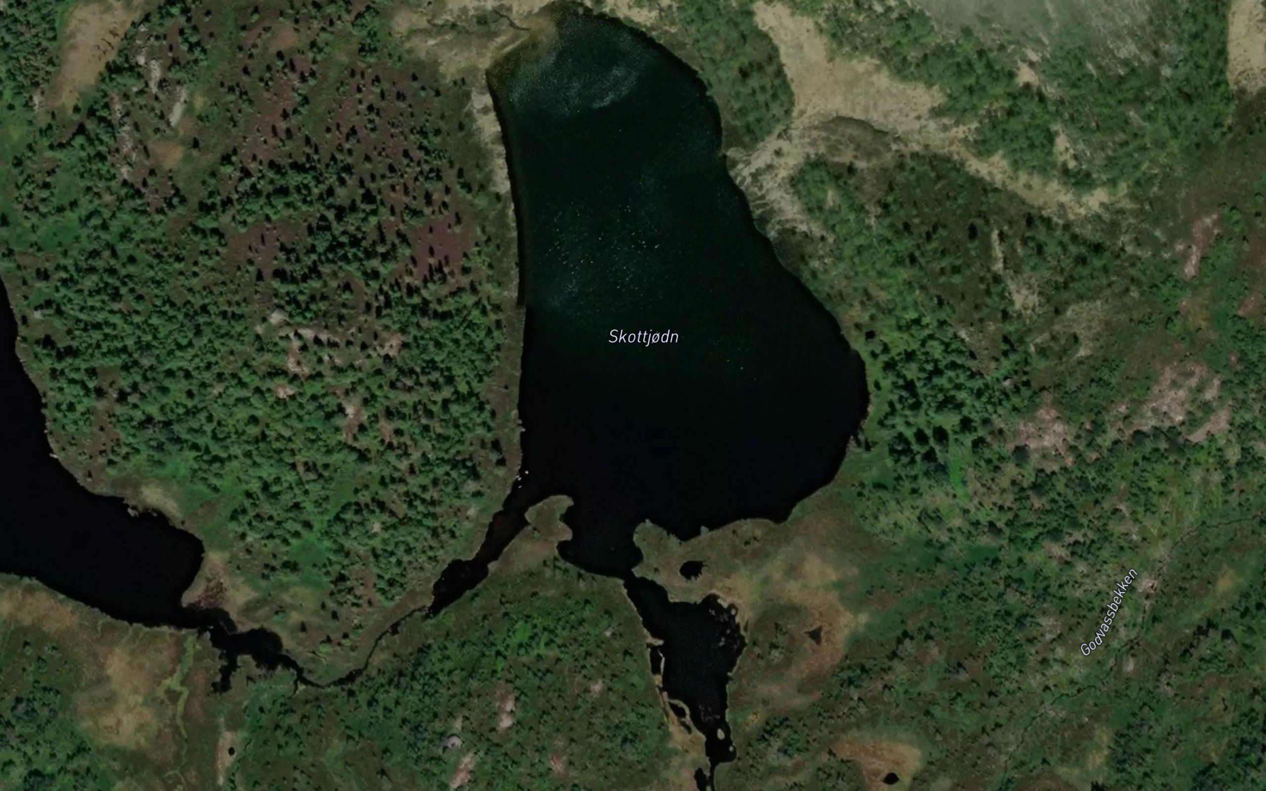 Skottjodn