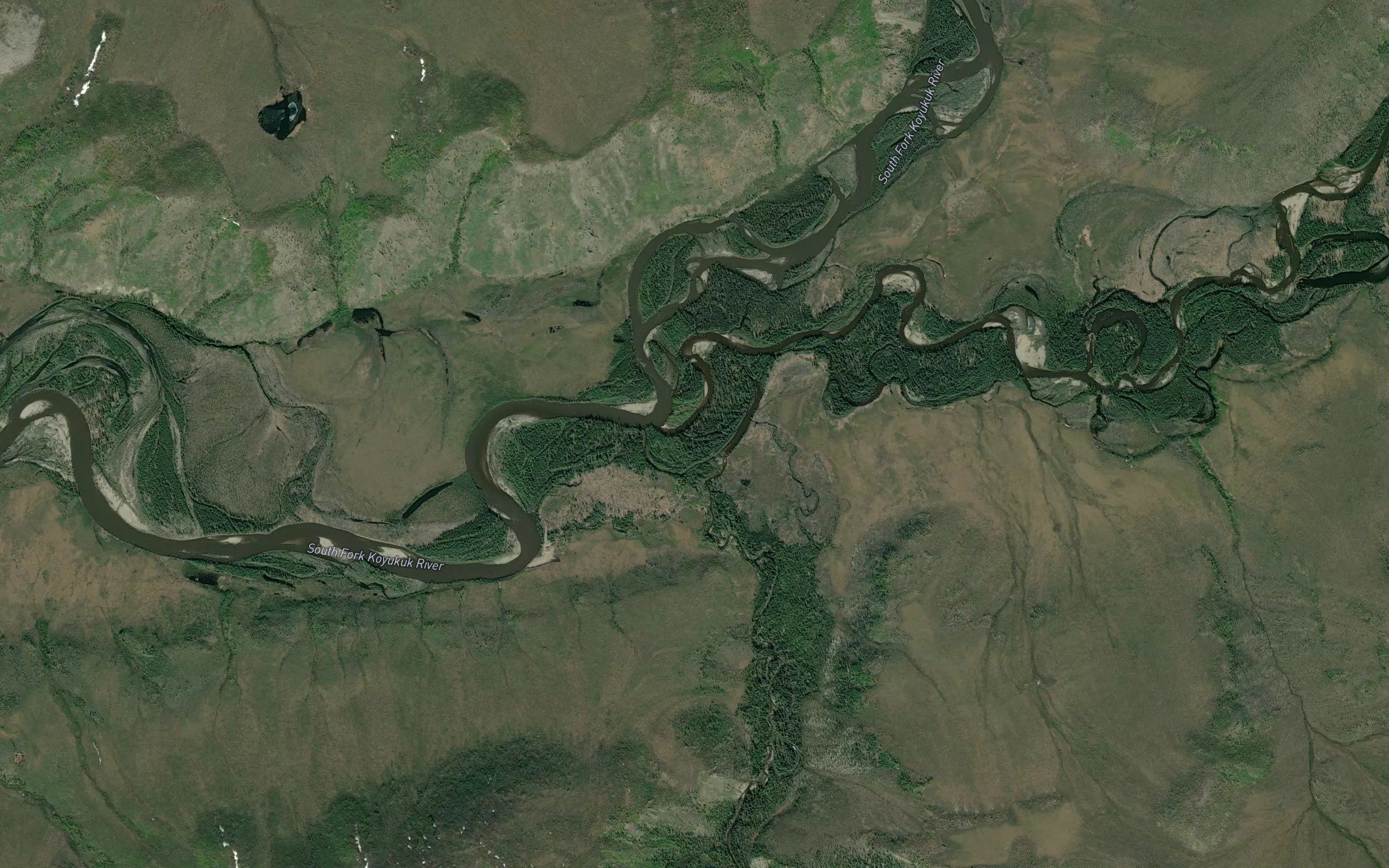 Mosquito Fork