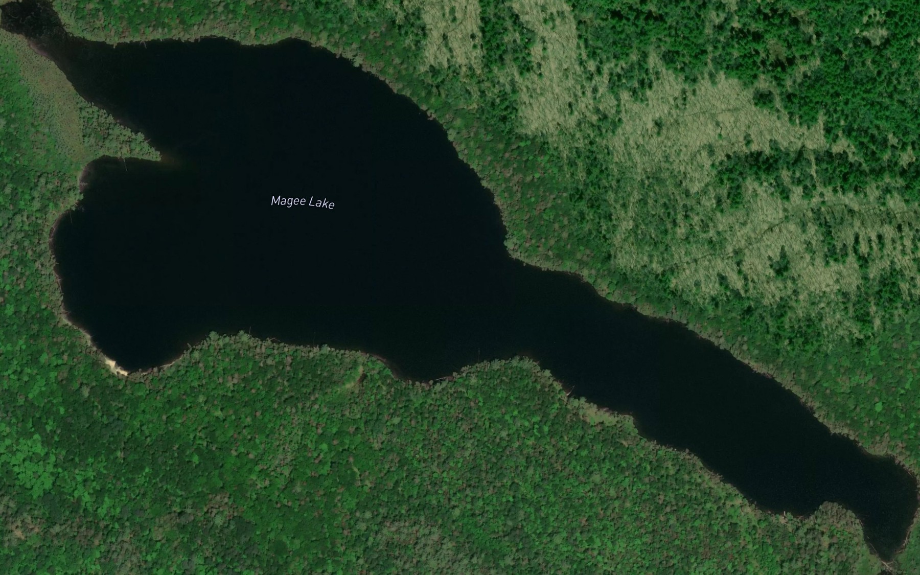 Satellite map of the Magee Lake