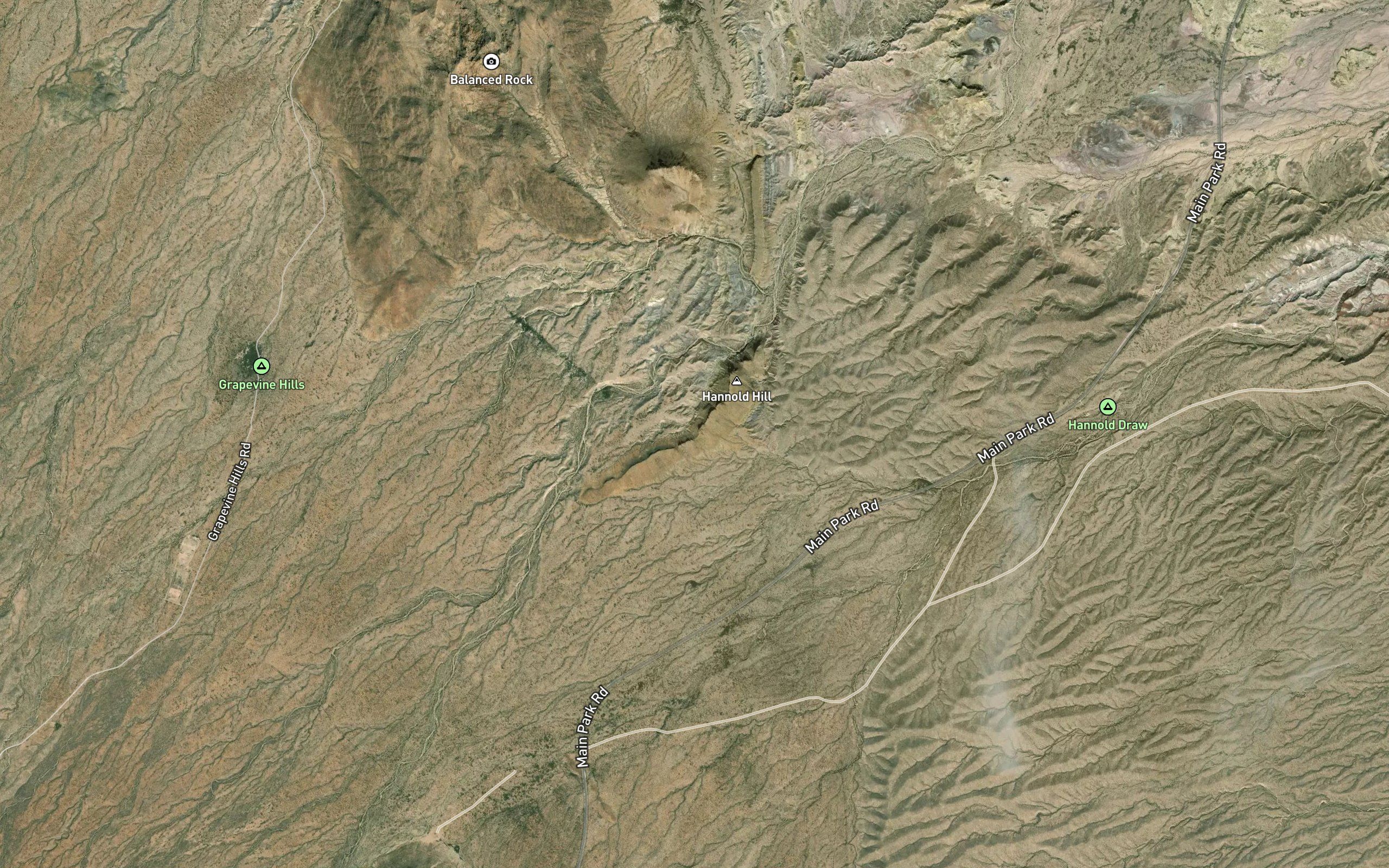 Quail Spring