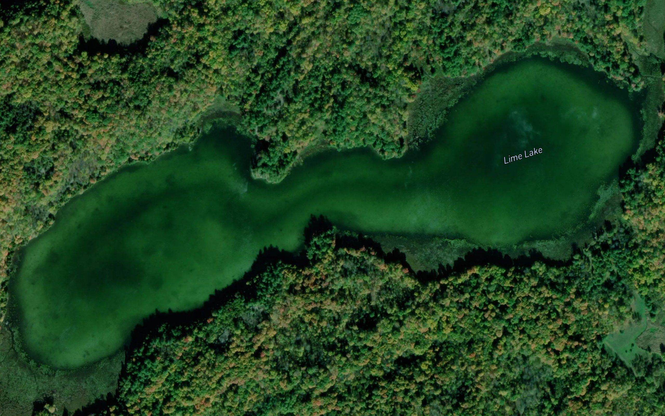 Lime Lake