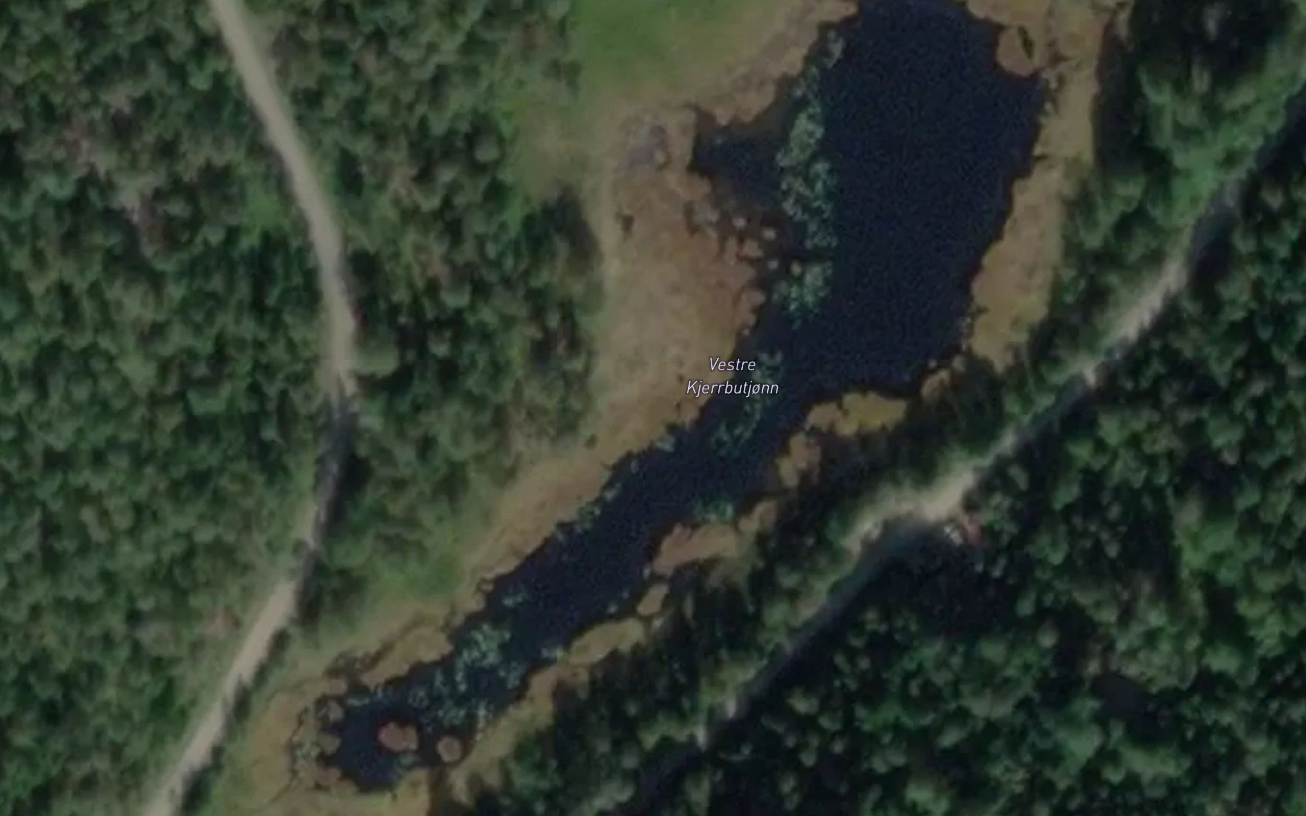 Vestre Kjerrbutjonn