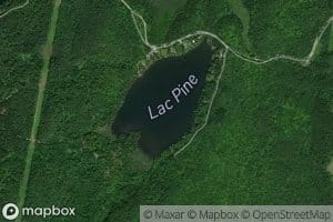 Lac Pine