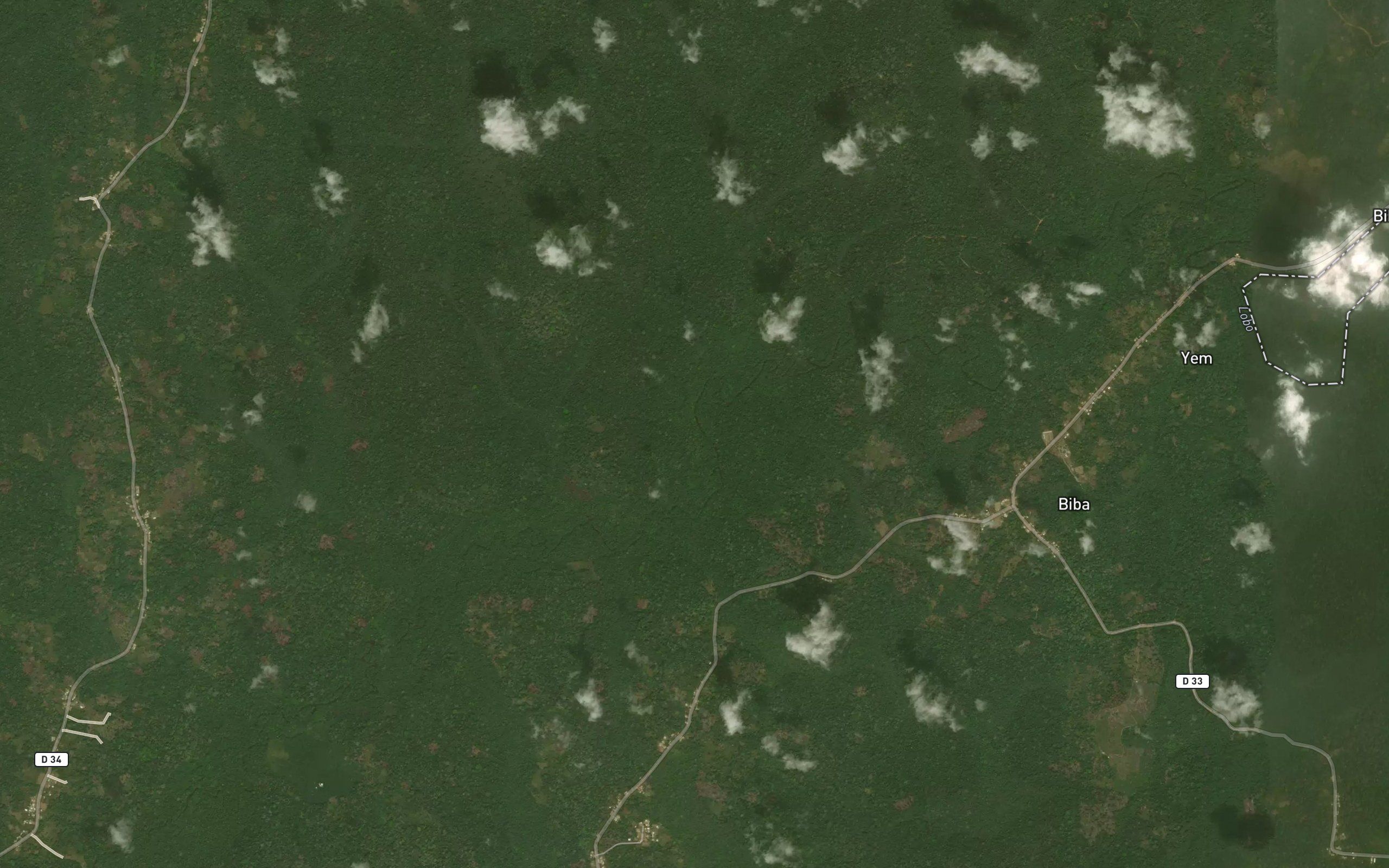 Ngale