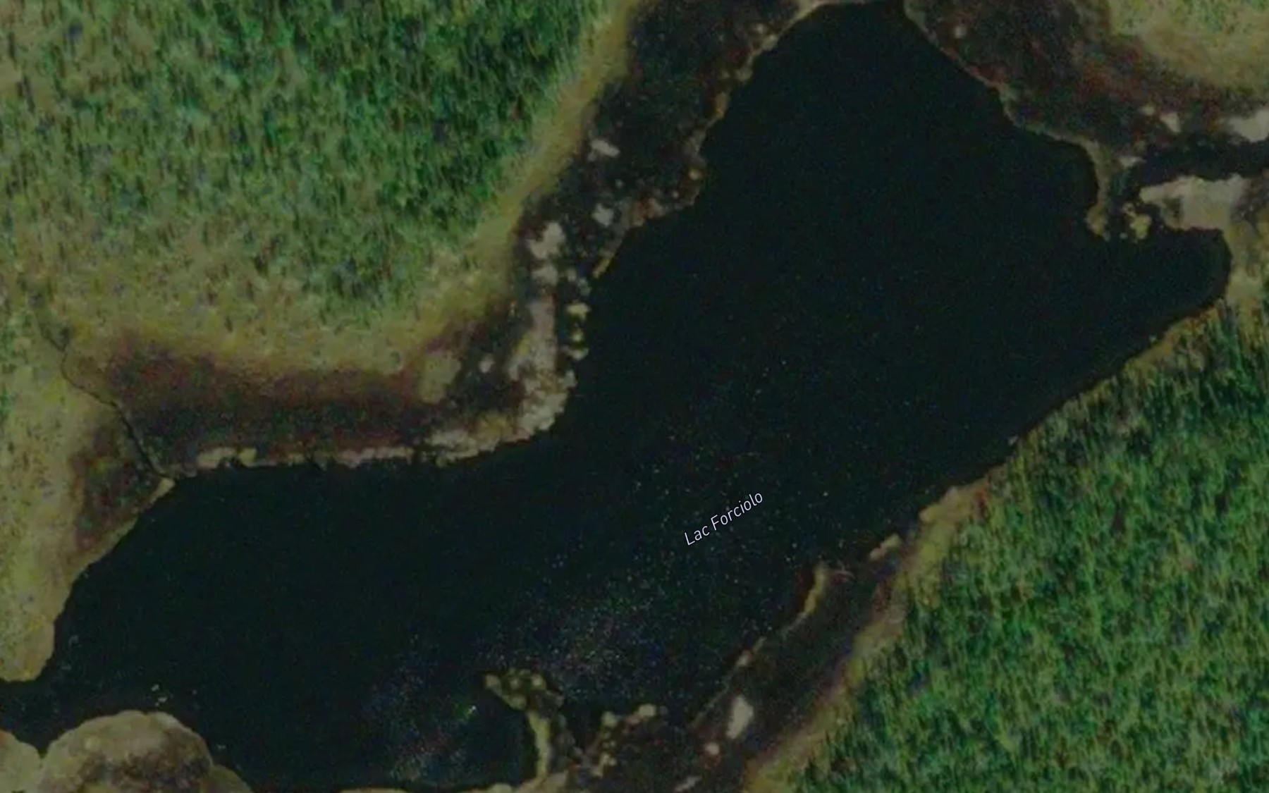 Satellite map of the Lac Forciolo