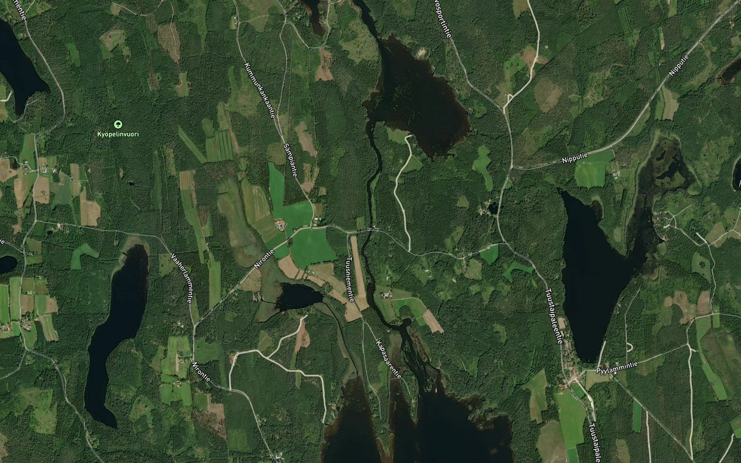 Puuskankoski
